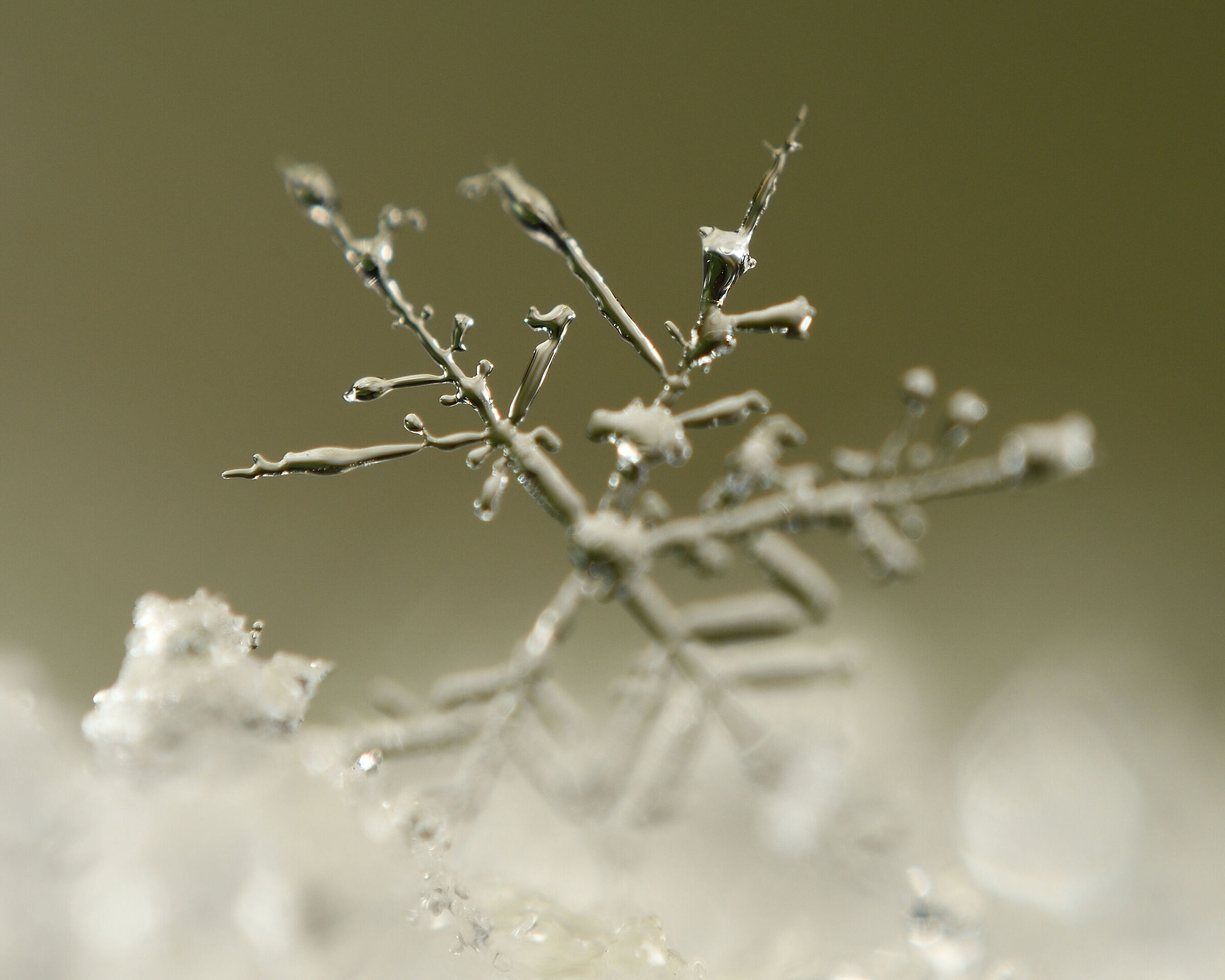 Snow crystal