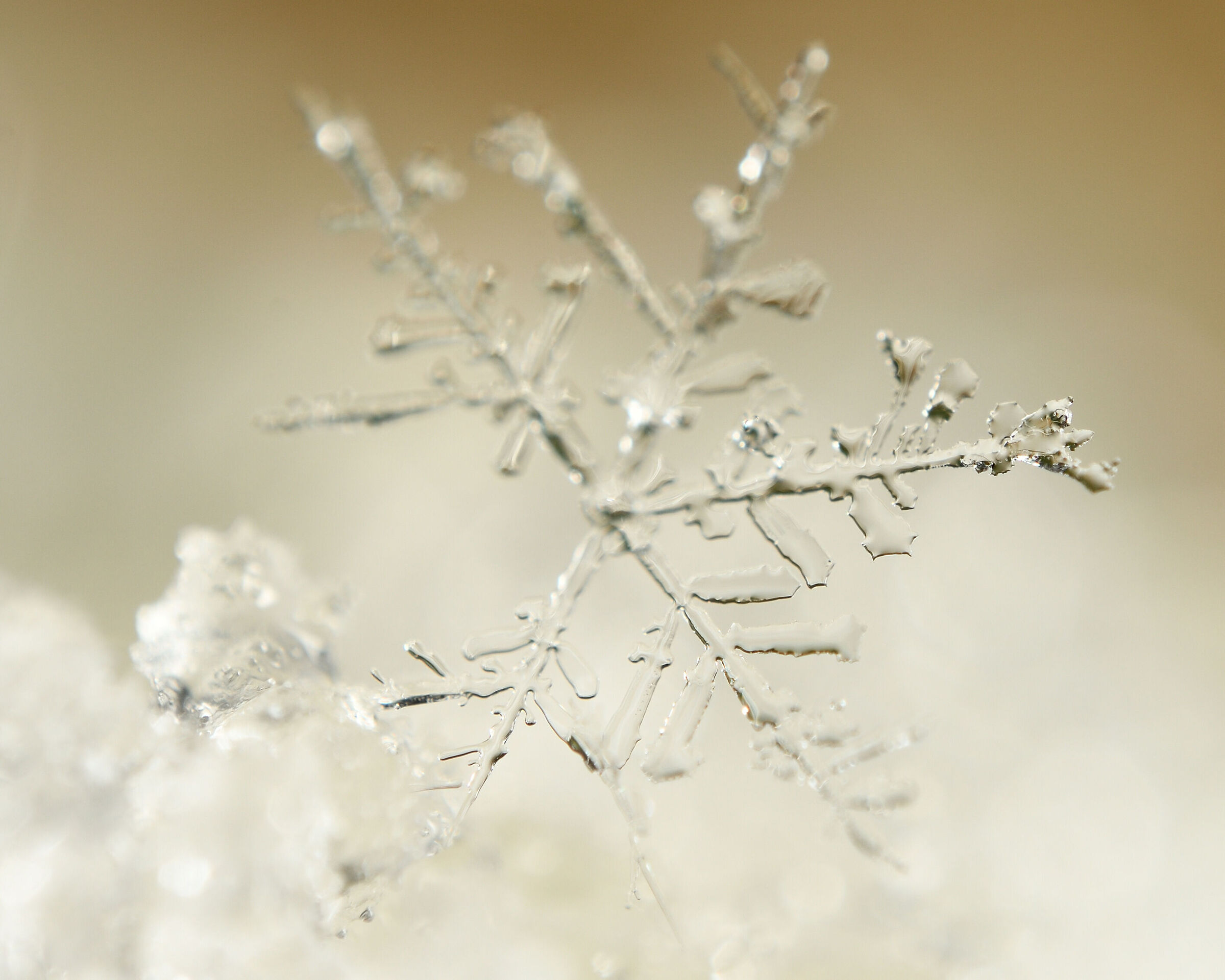 Cristallo di neve