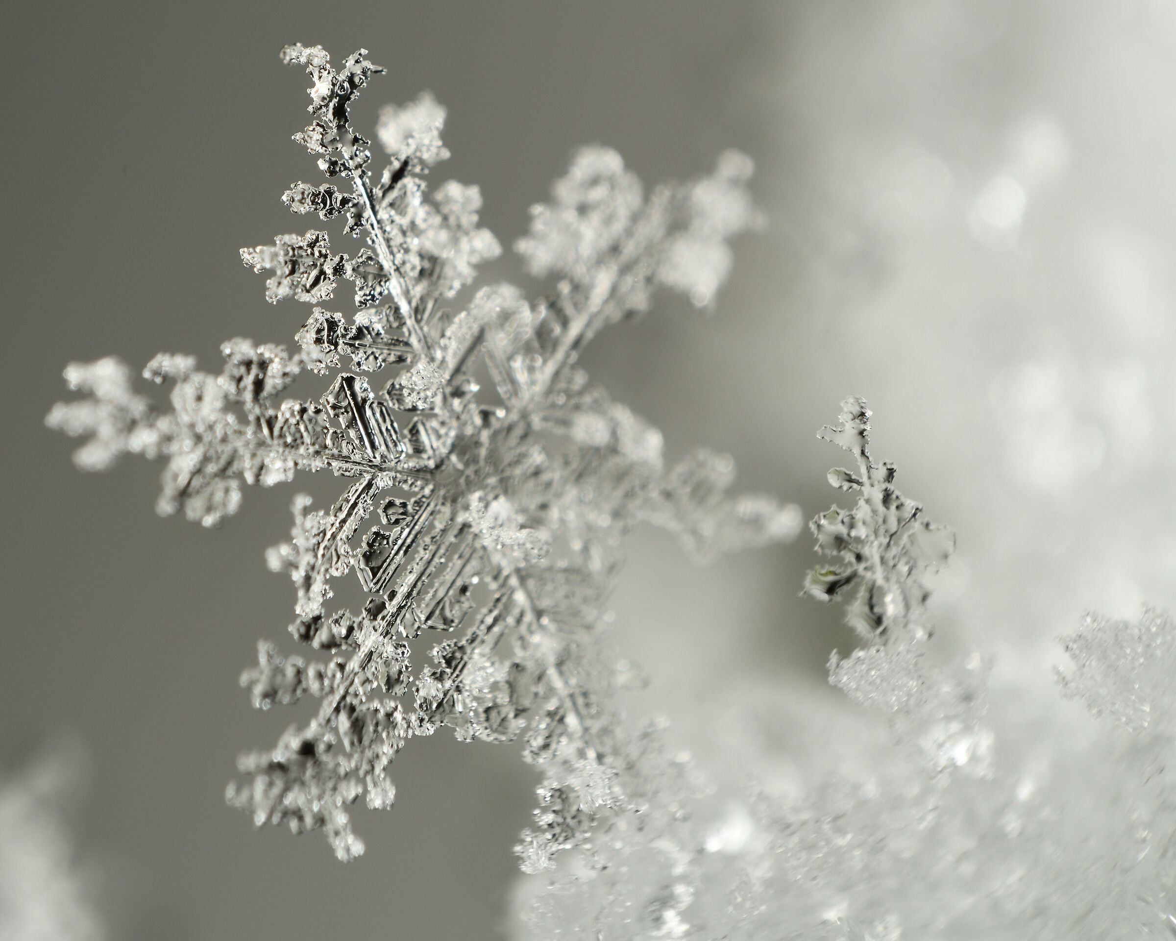 Cristallo di neve