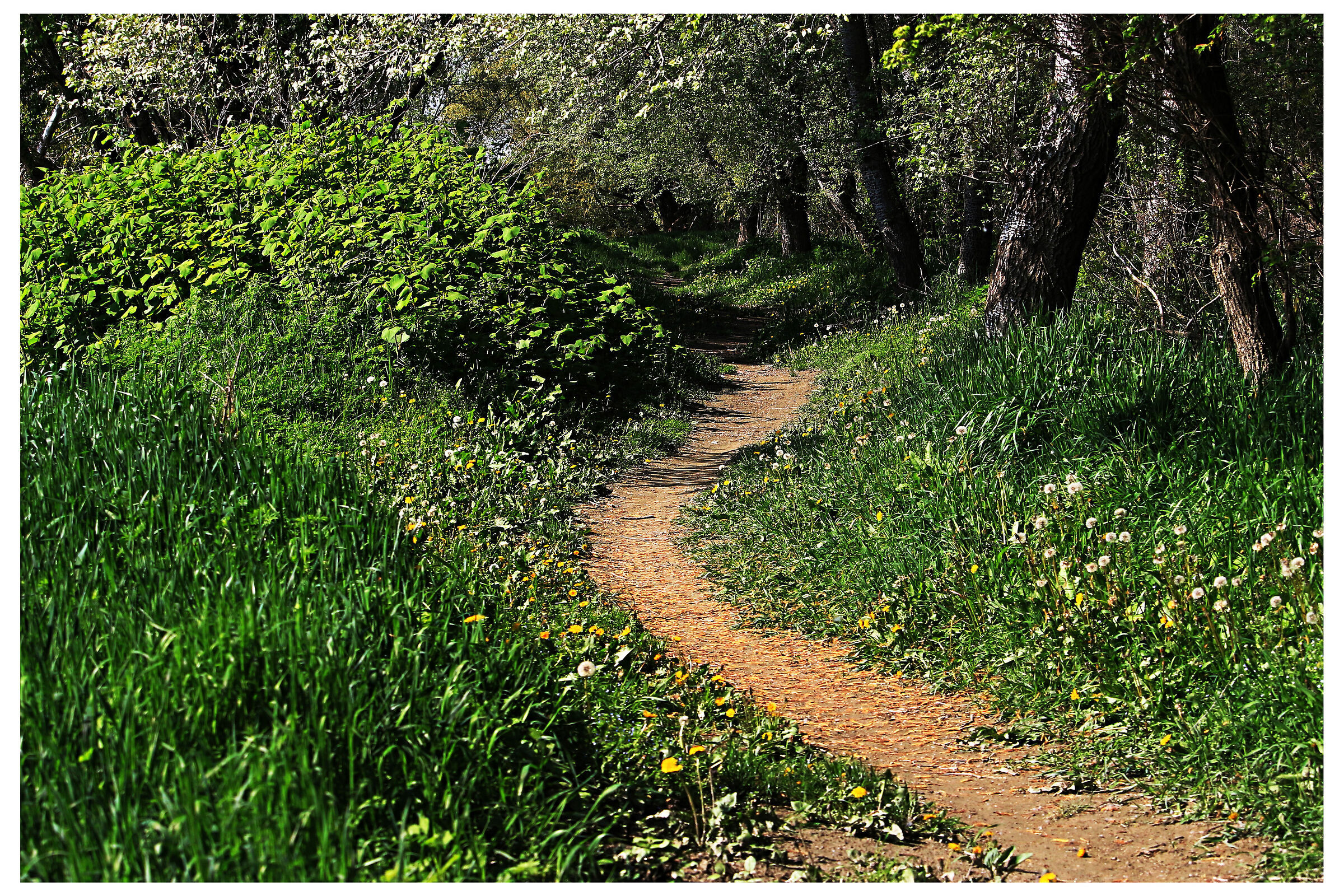 Path