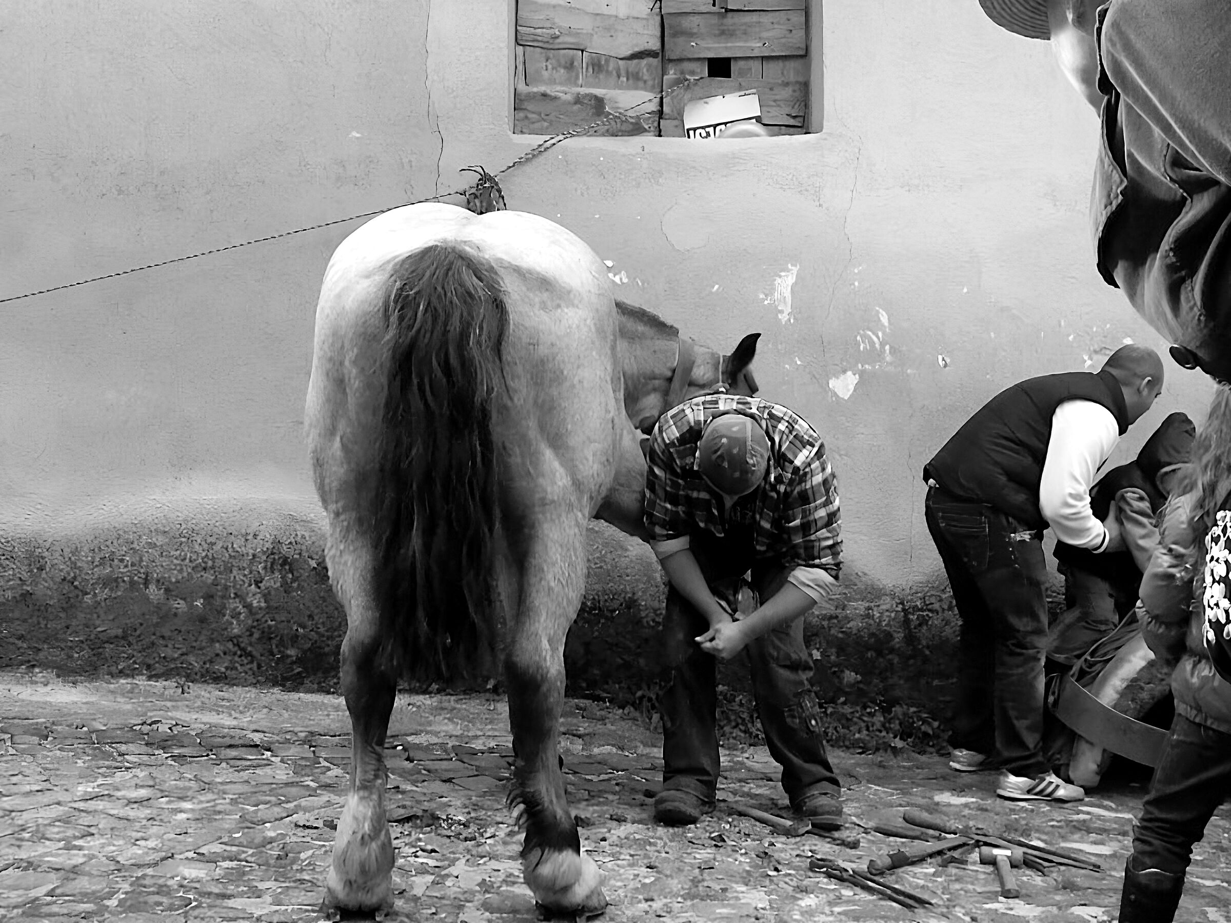 The farrier