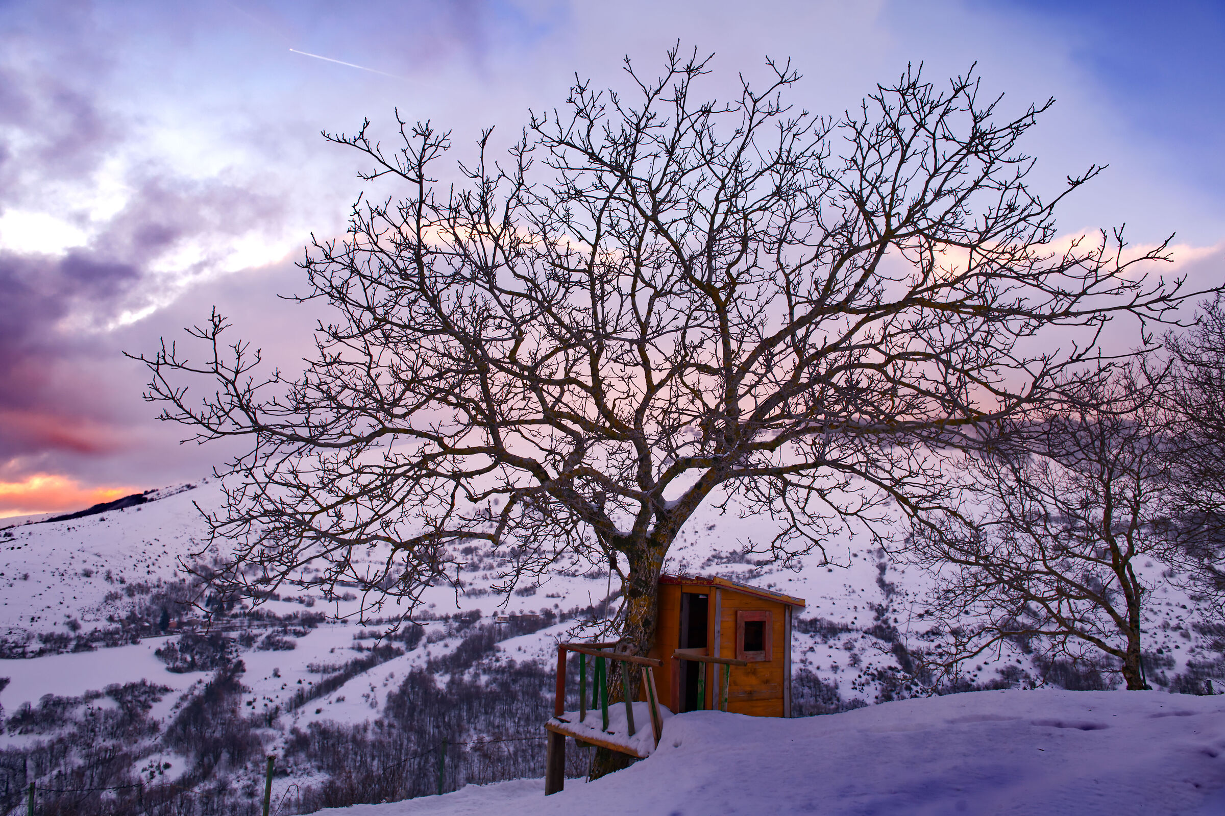 Casina ..sull'albero?