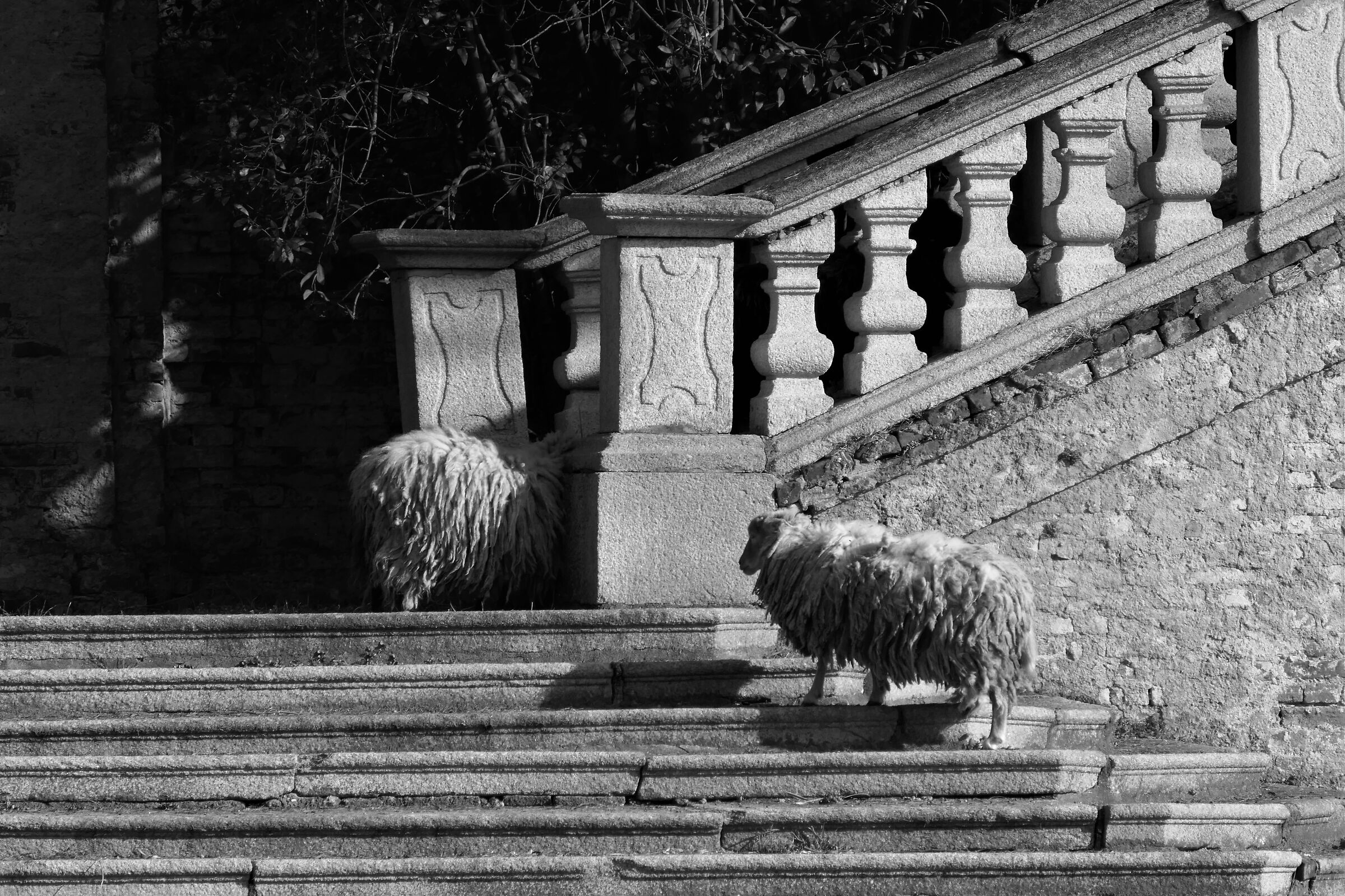 ospiti......a palazzo