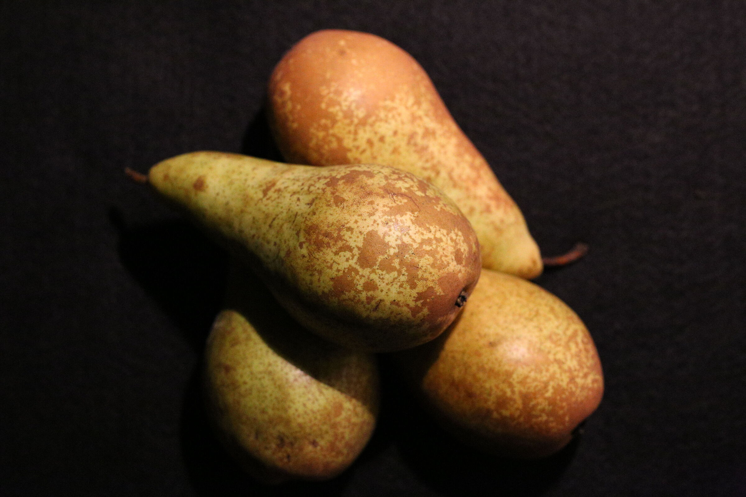 Questa Foto la chiamo " Pere Alti ISO " Milvus Zei...