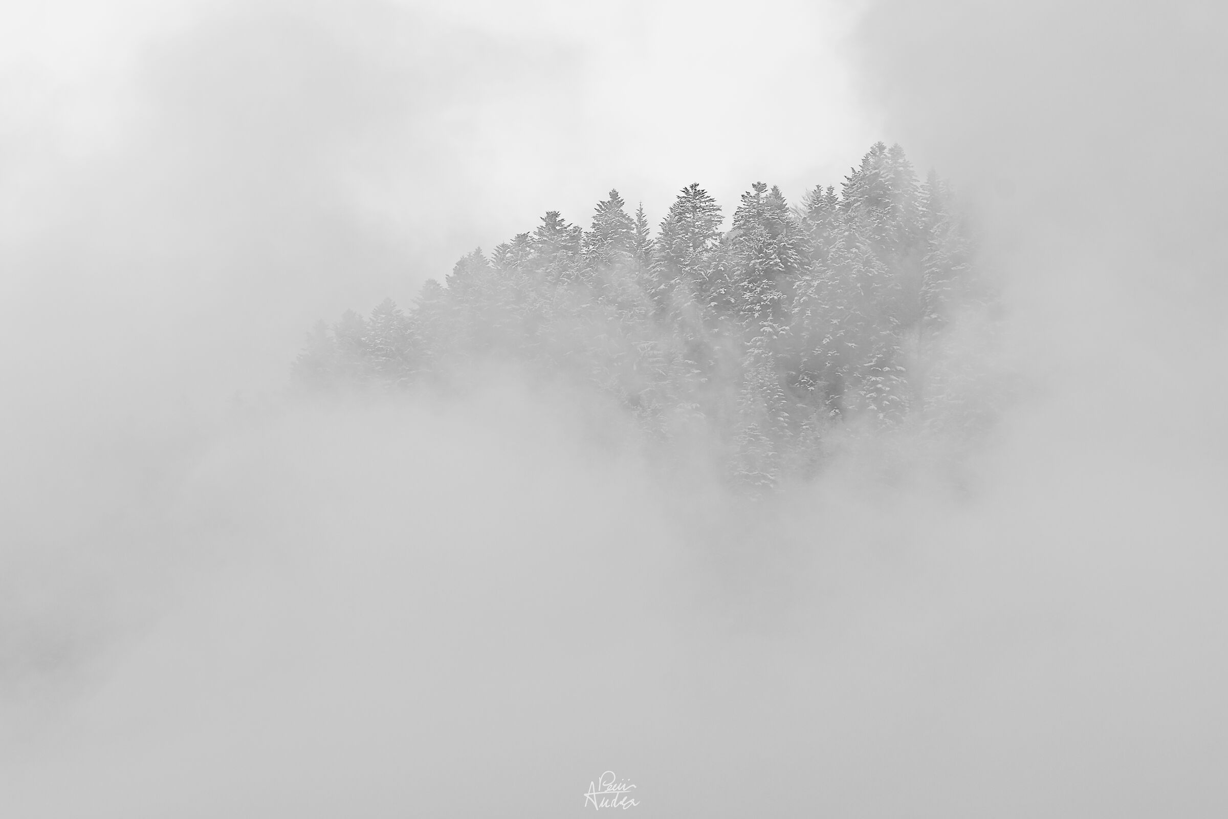 Simply in the clouds