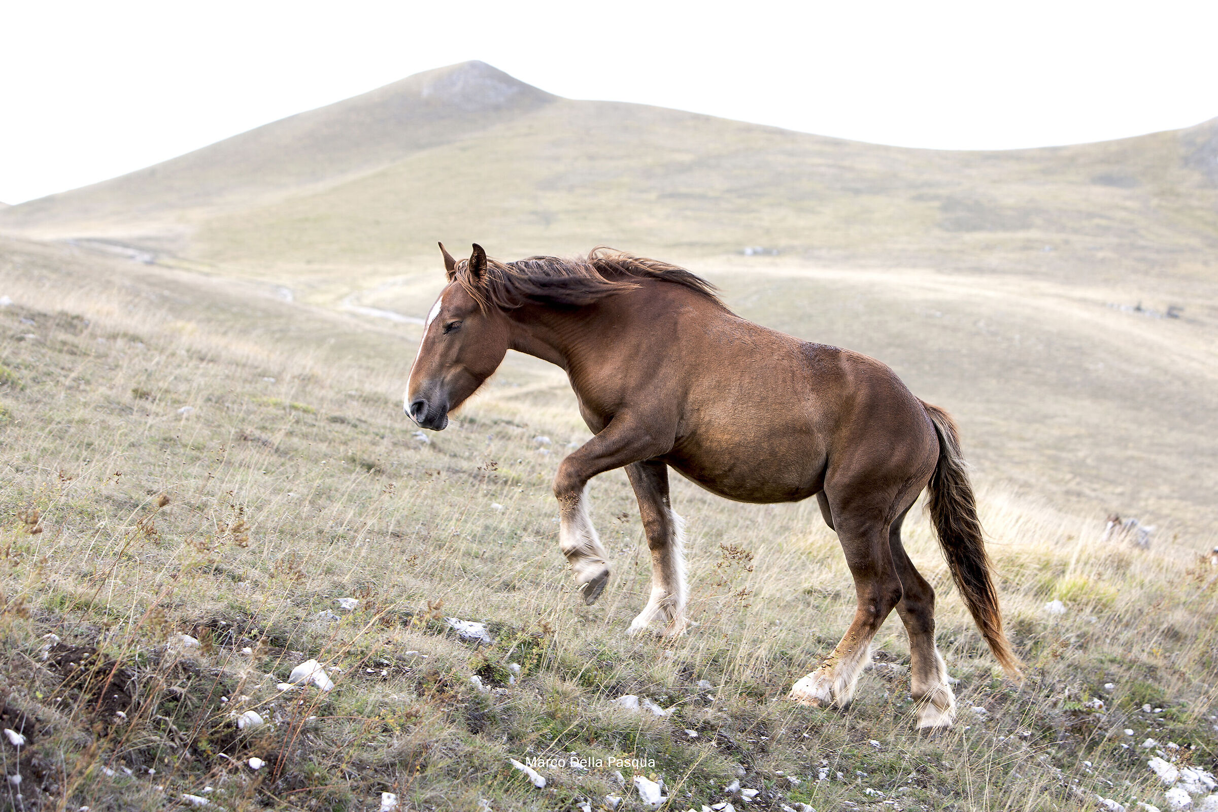 Castelluccio in autunno-2