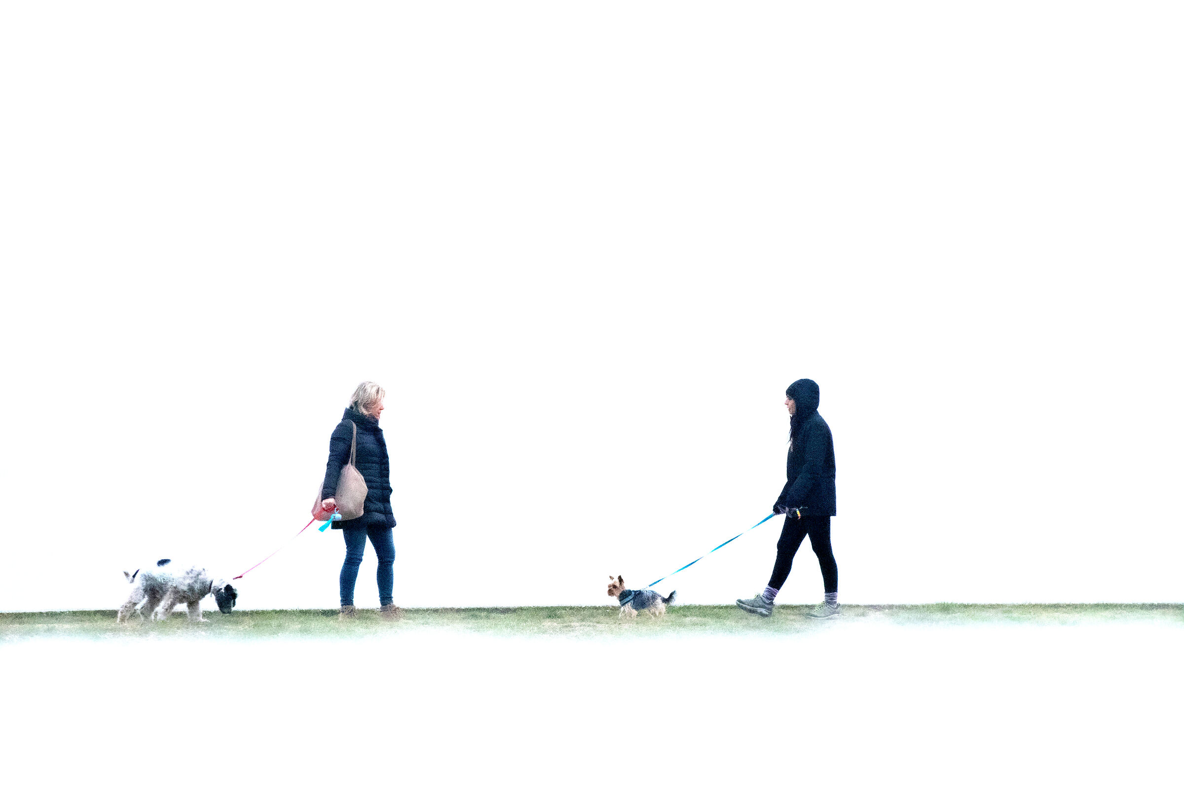 Si può essere amici