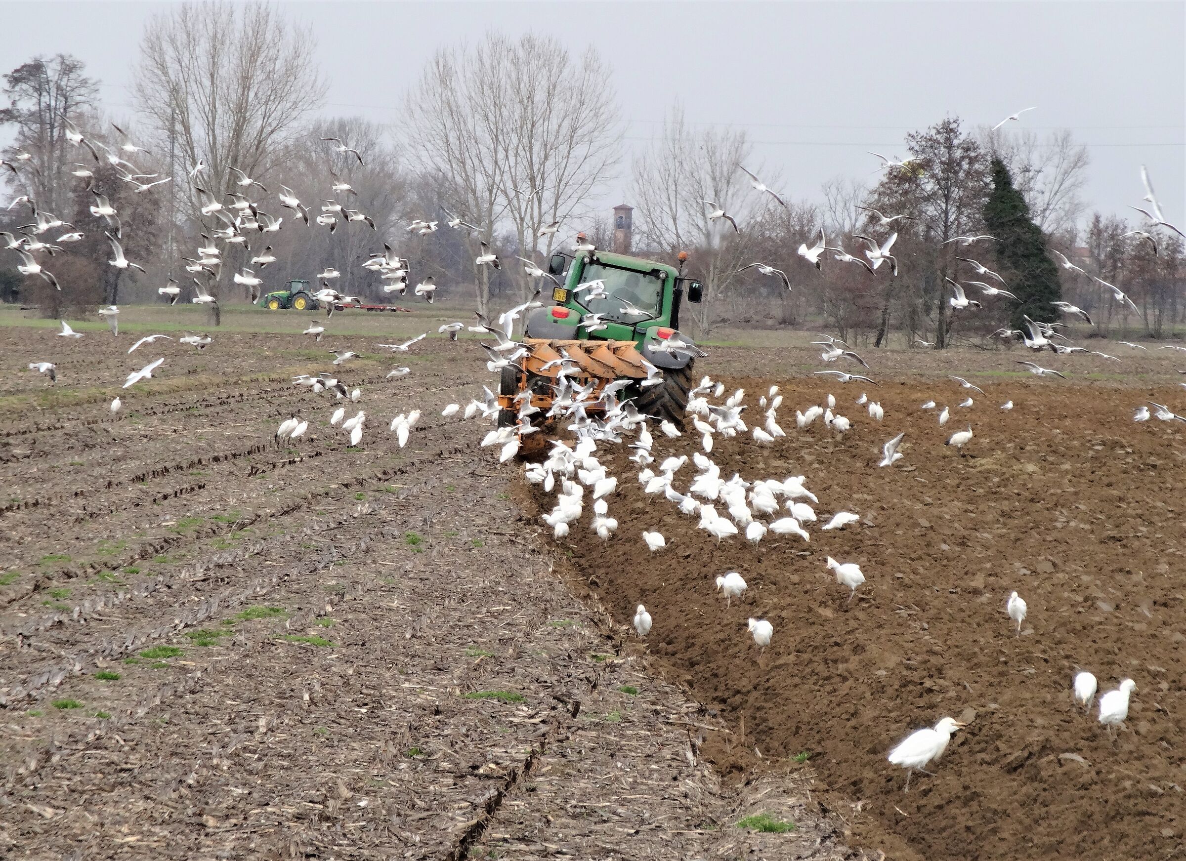 Here is the party!!!