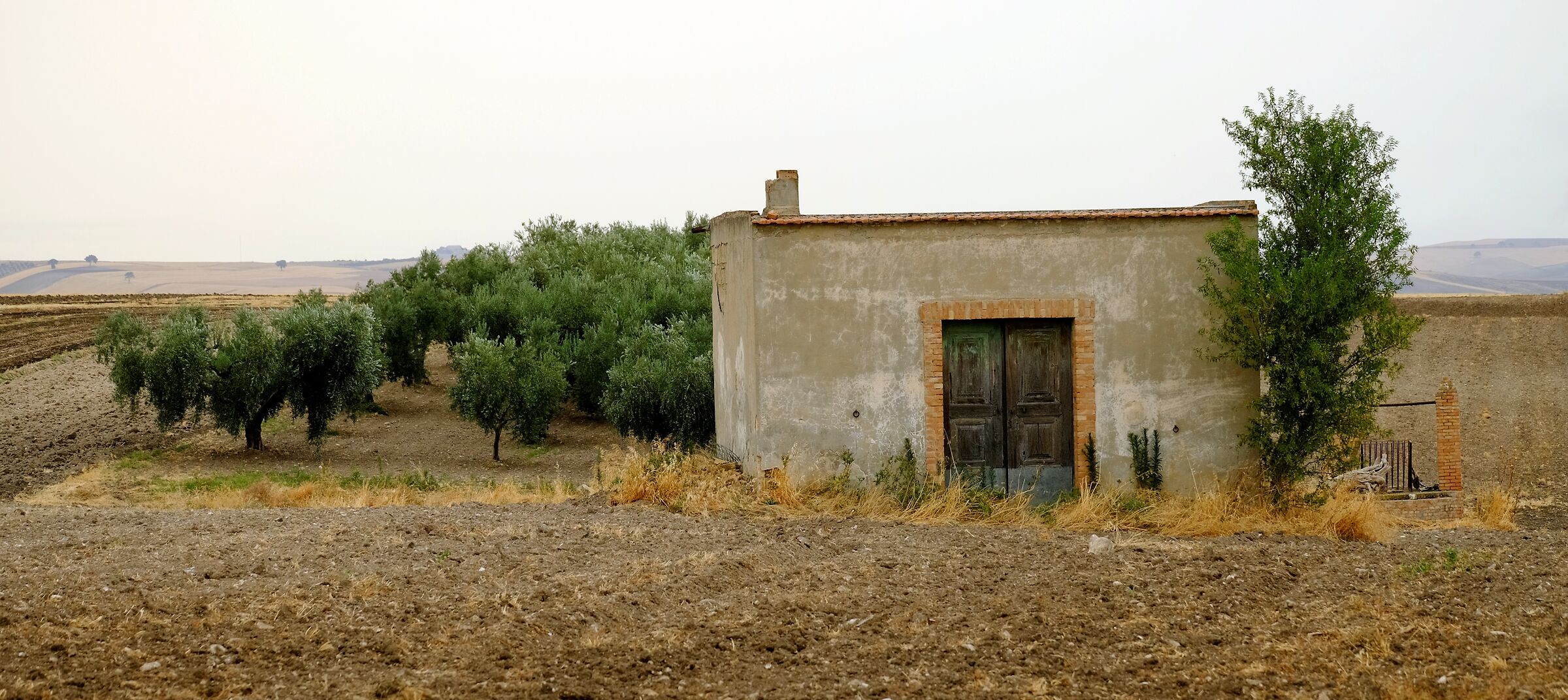 Abandoned farmhouse