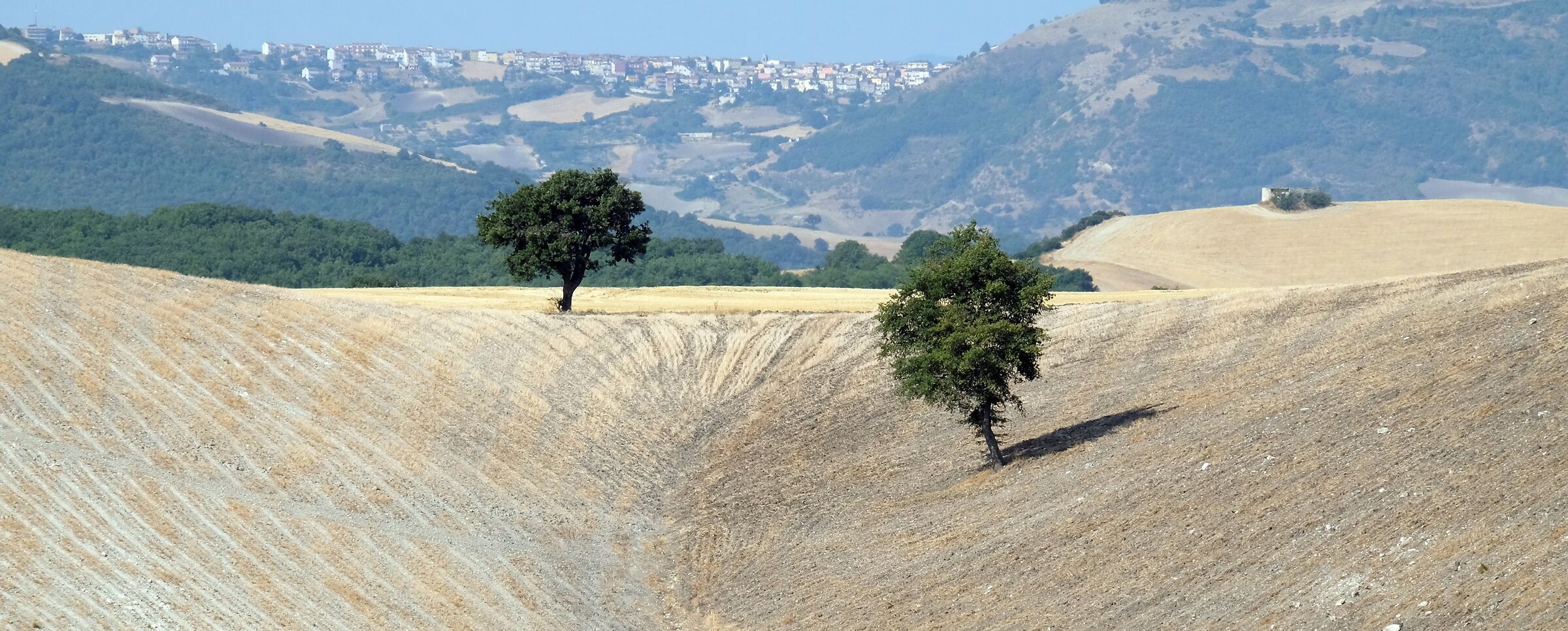le due querce