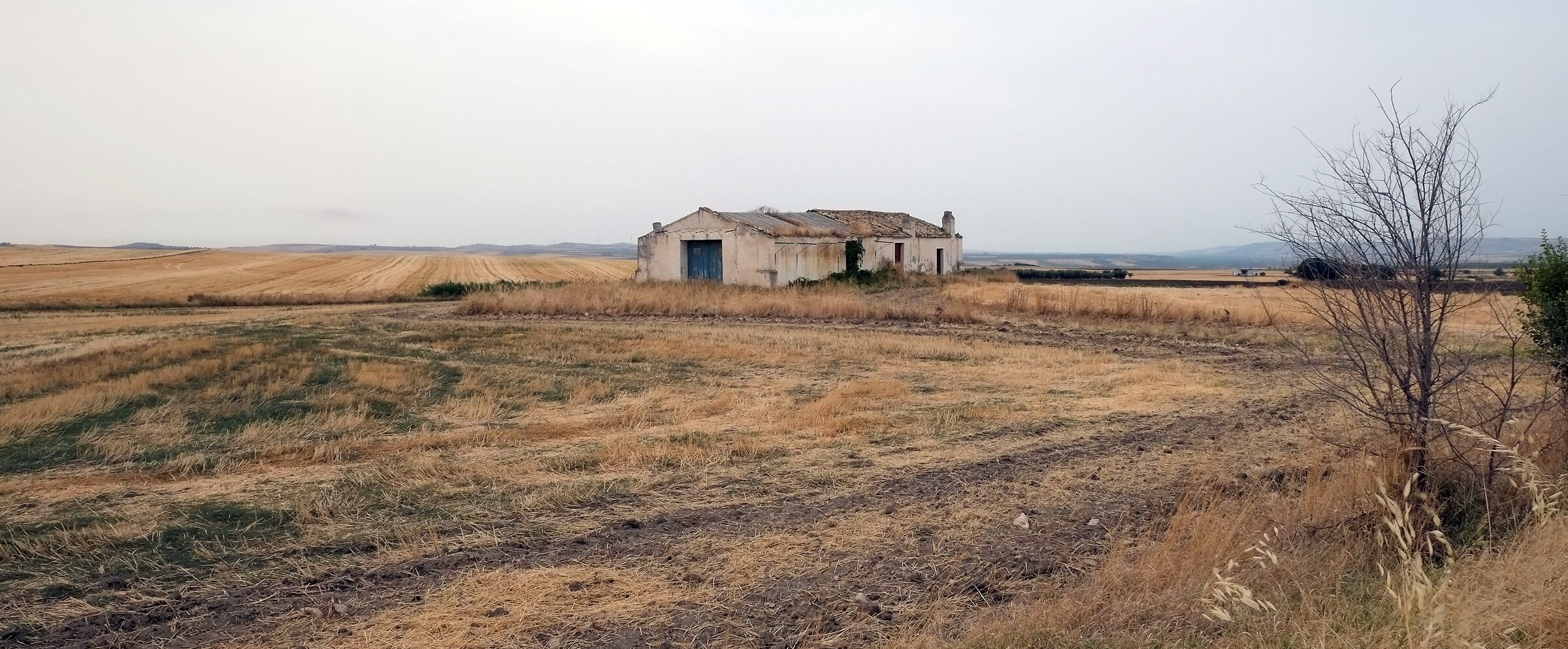 Debris