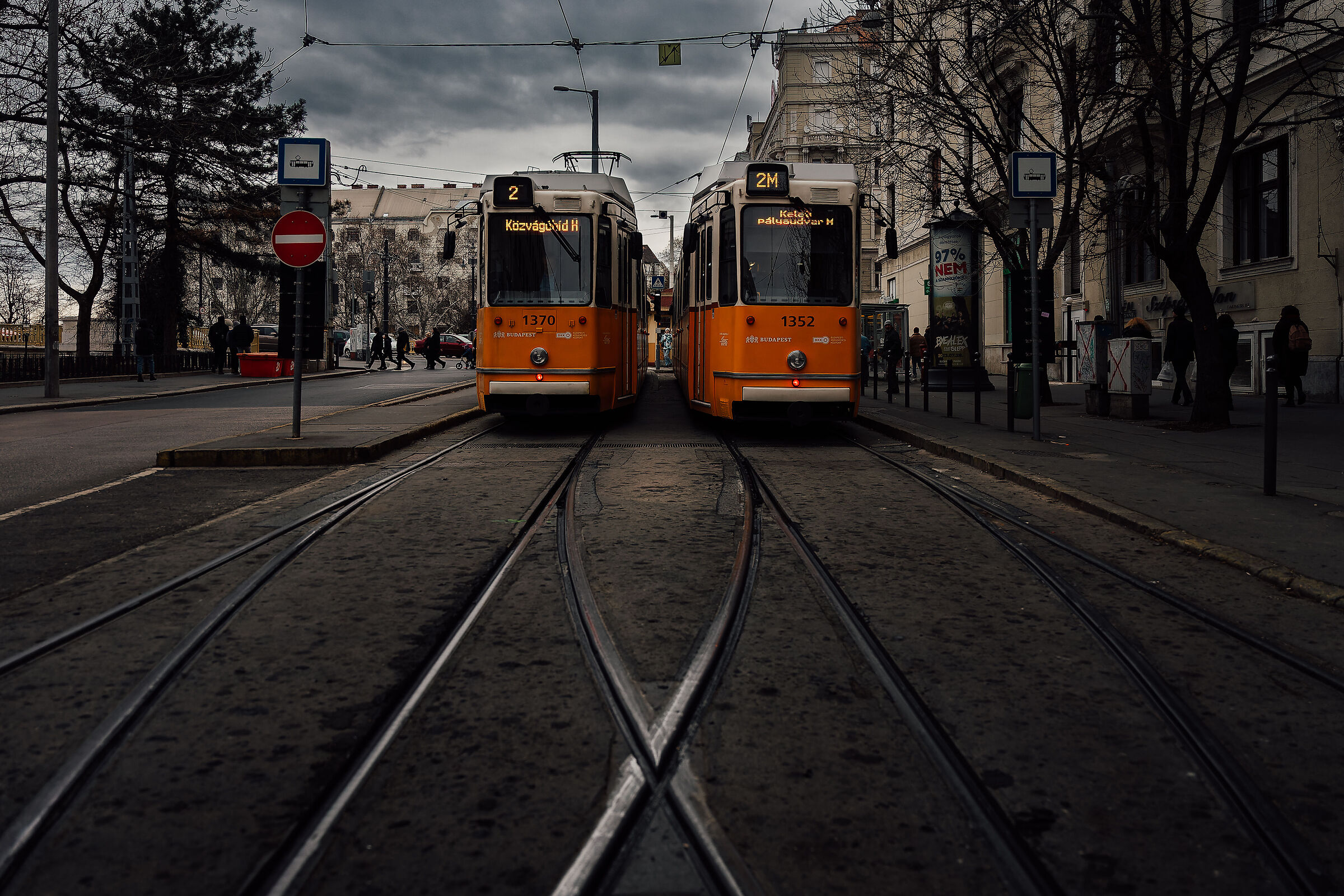 Untitled Photo
