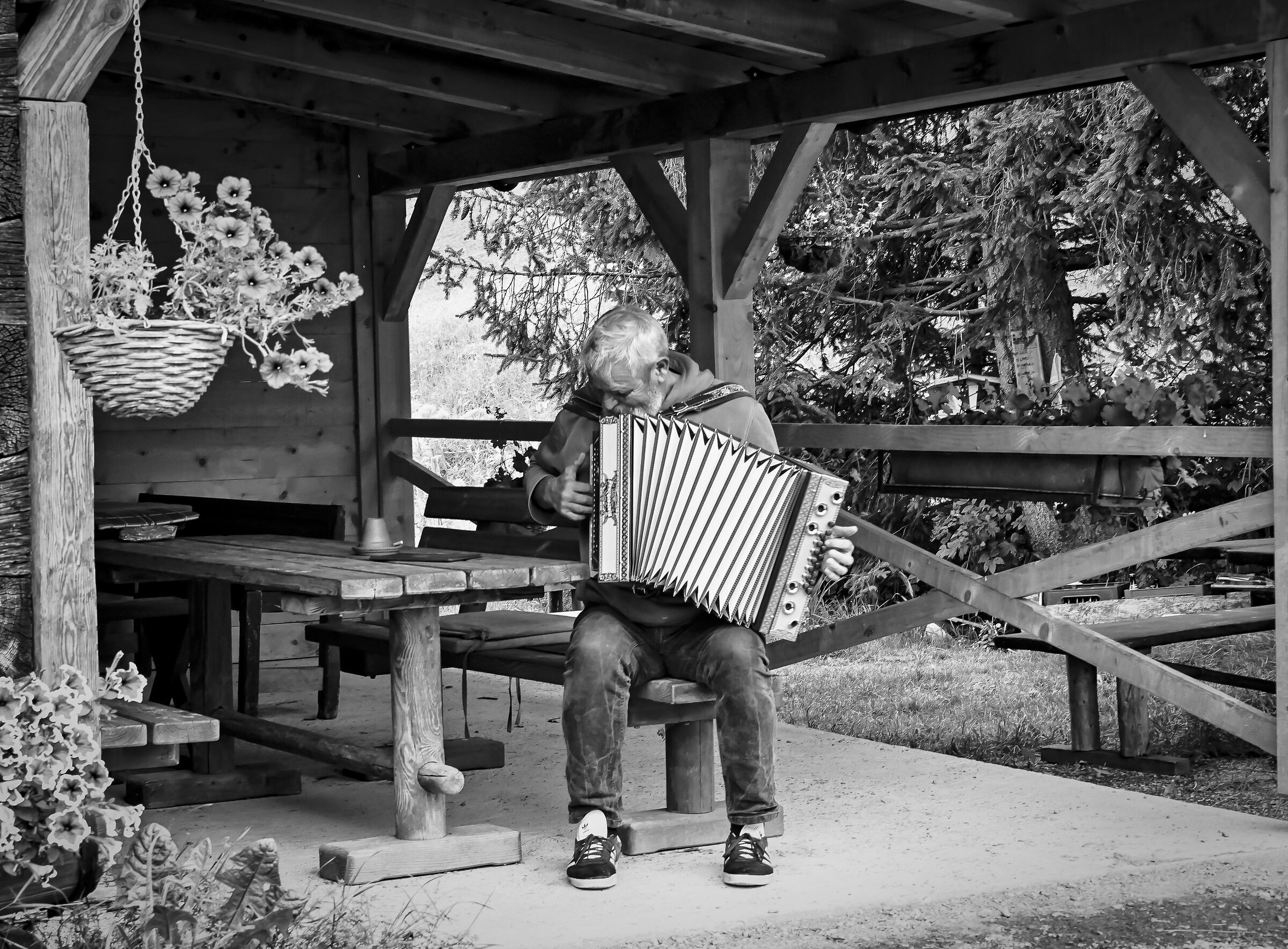 Suonatore di Fisarmonica