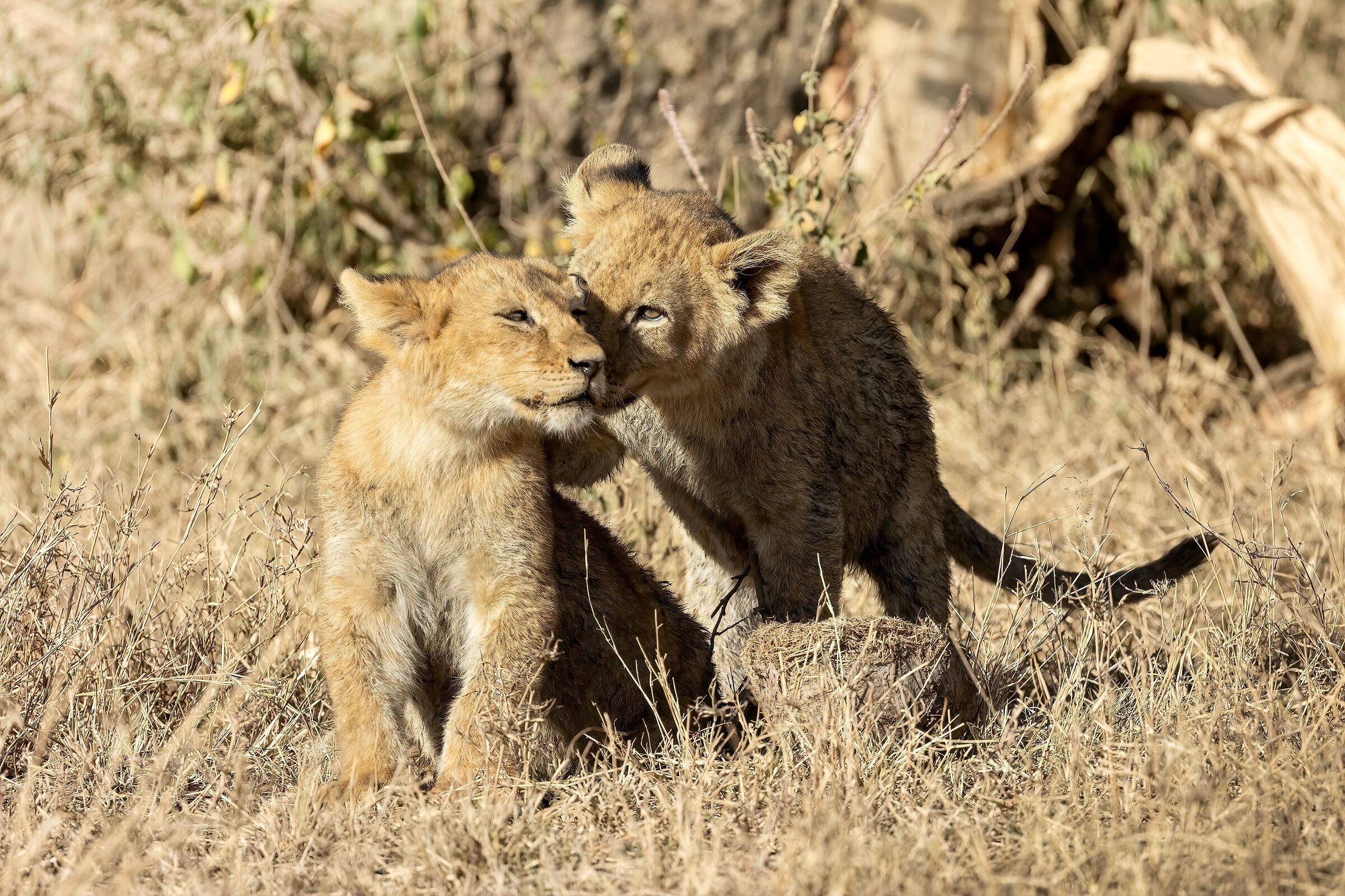 I'll tell you in your ear...