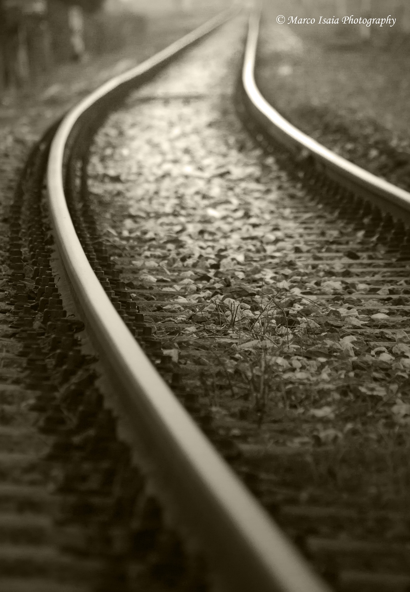 Rotaie verso l'infinito