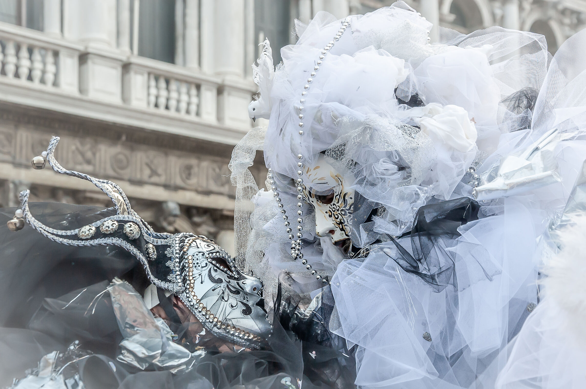 Venice 23