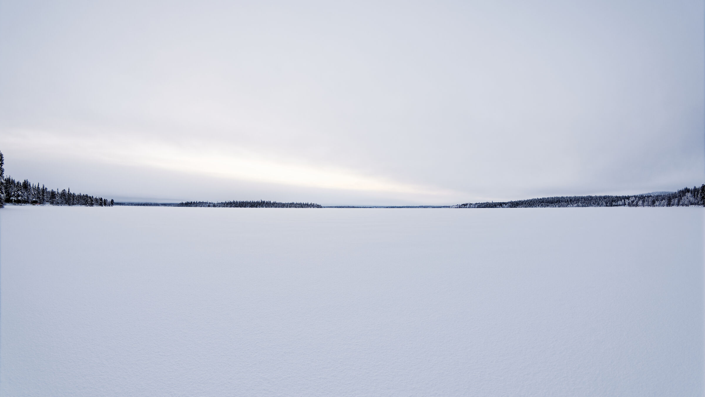 Bianco