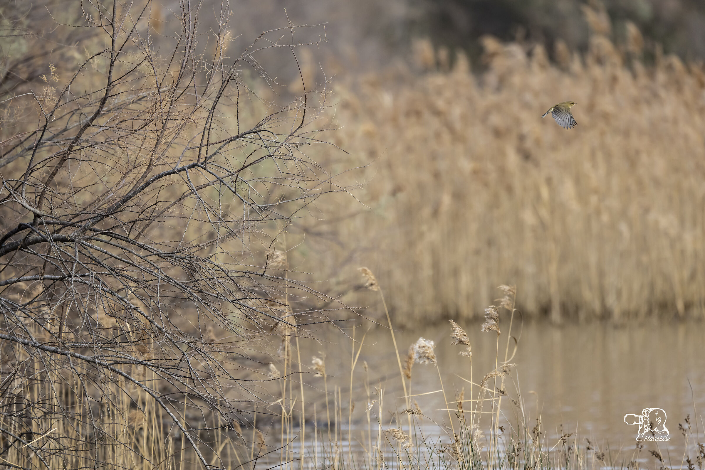 I fly away. And it doesn't seem like much...?