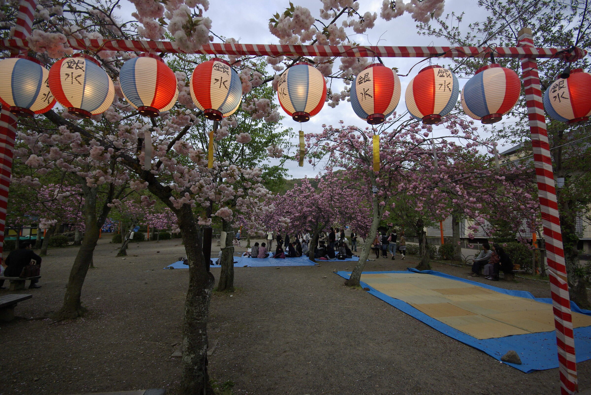 Japan Festival