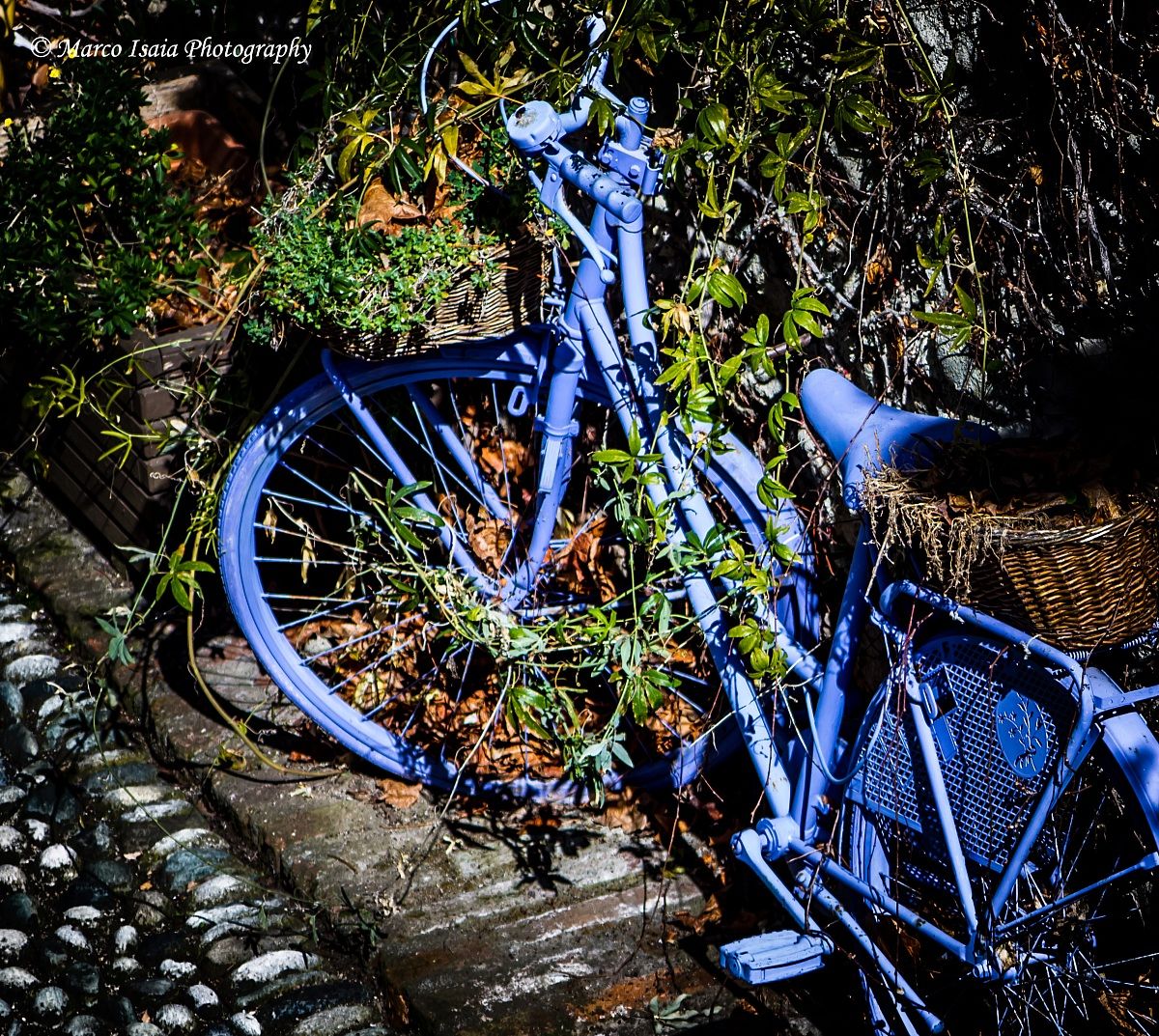 Bici blu