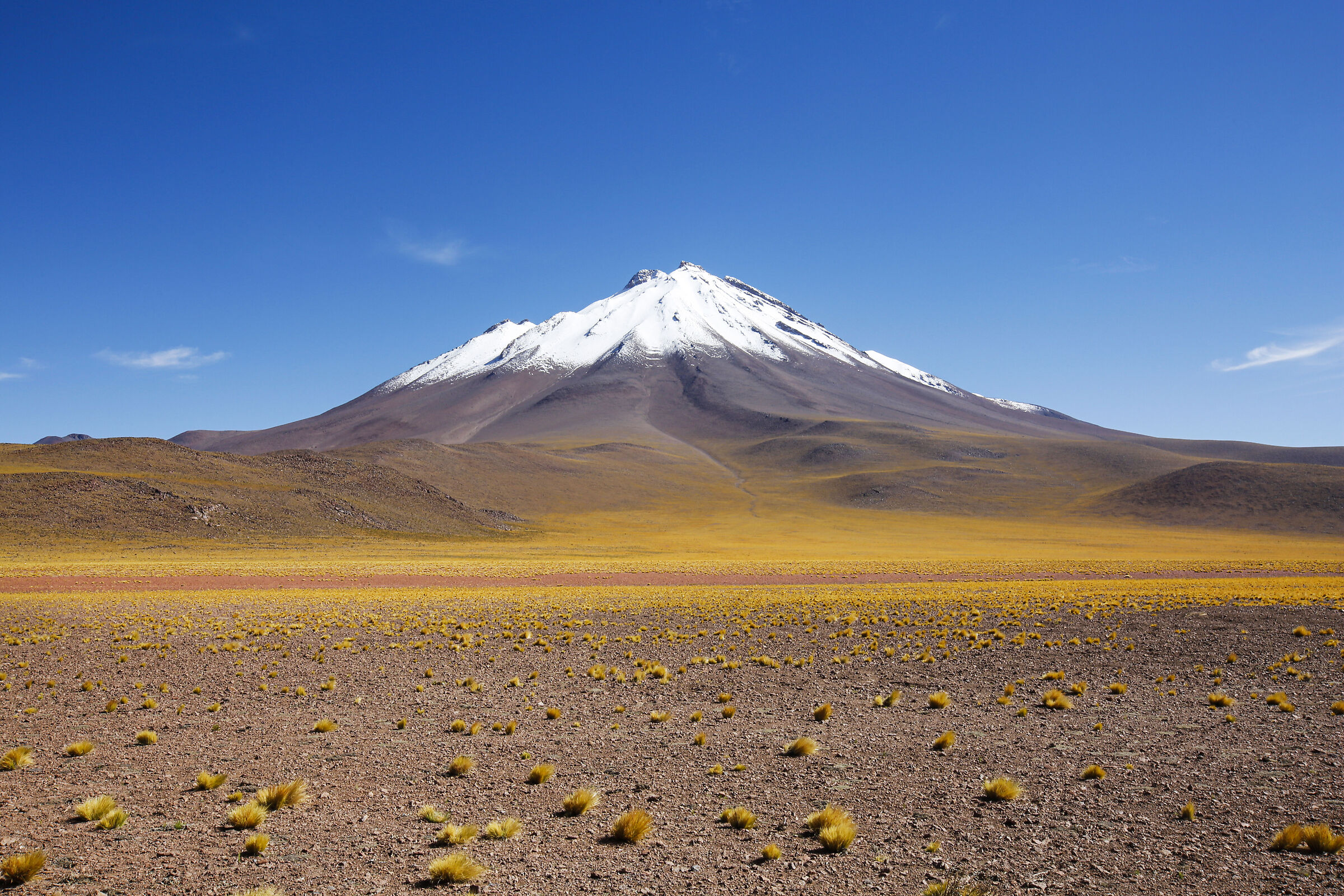 Vulcano Miñiques, Cile