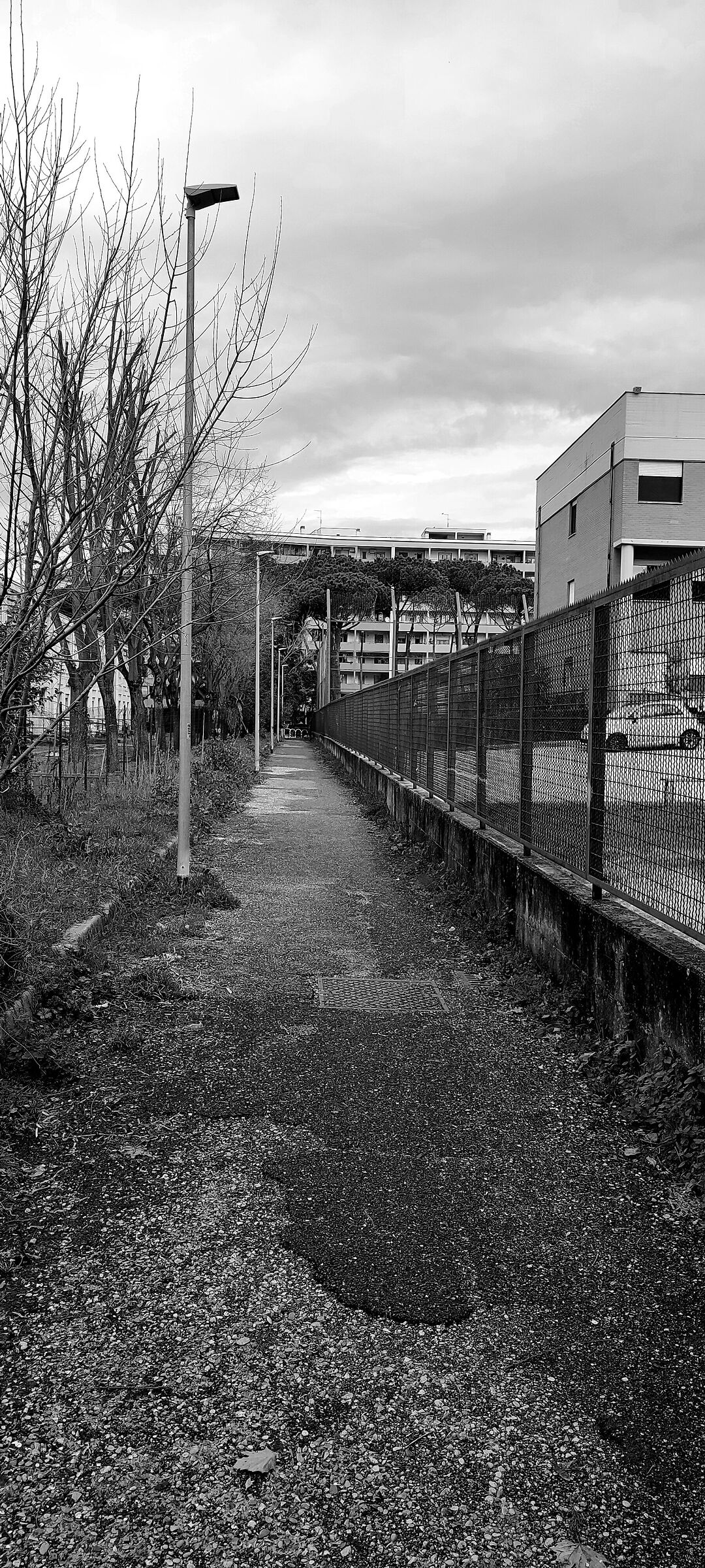 Aniene Hills