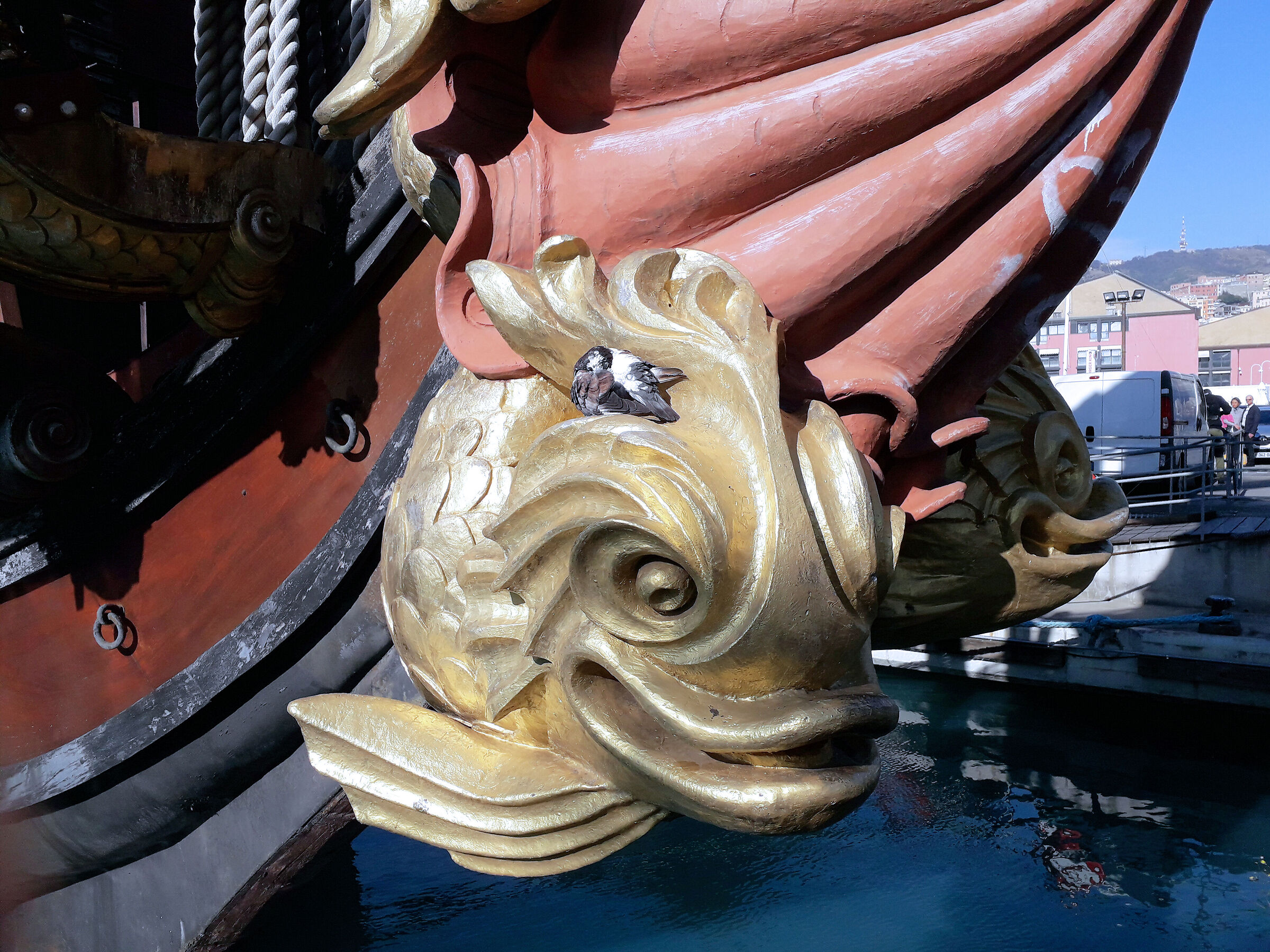 Galeone con piccione a Genova