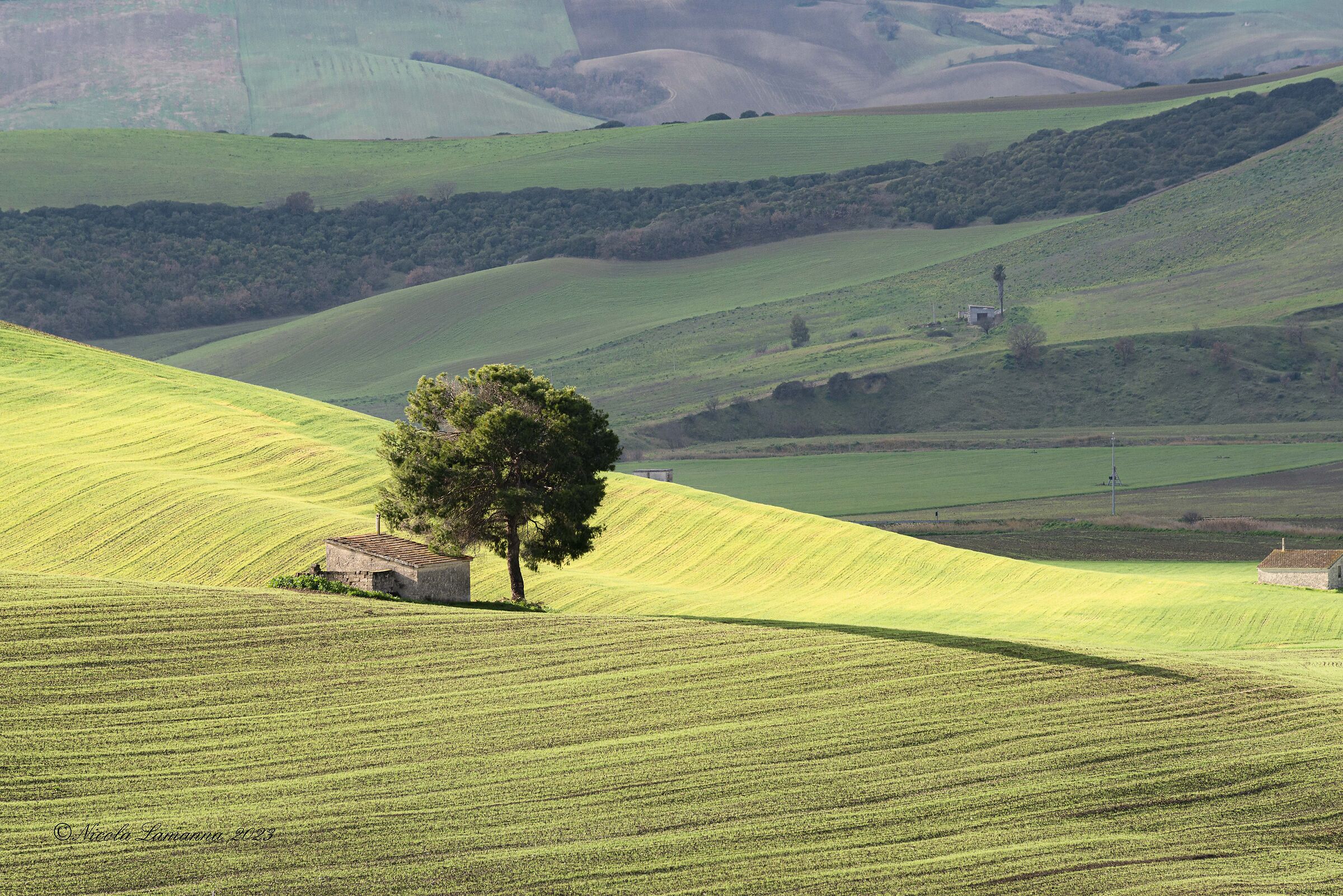 Basilicata