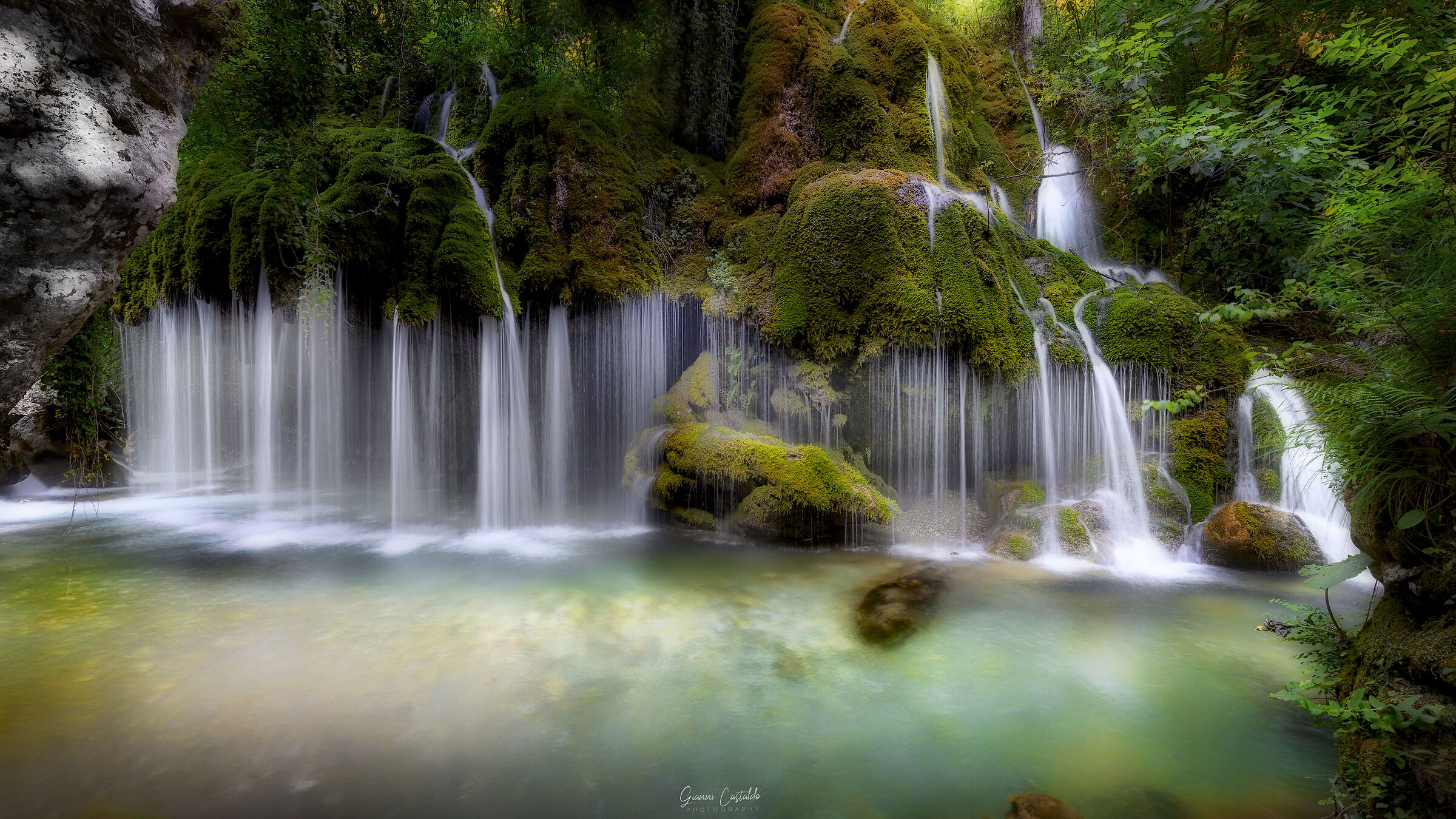 L'eleganza dei capelli di Venere