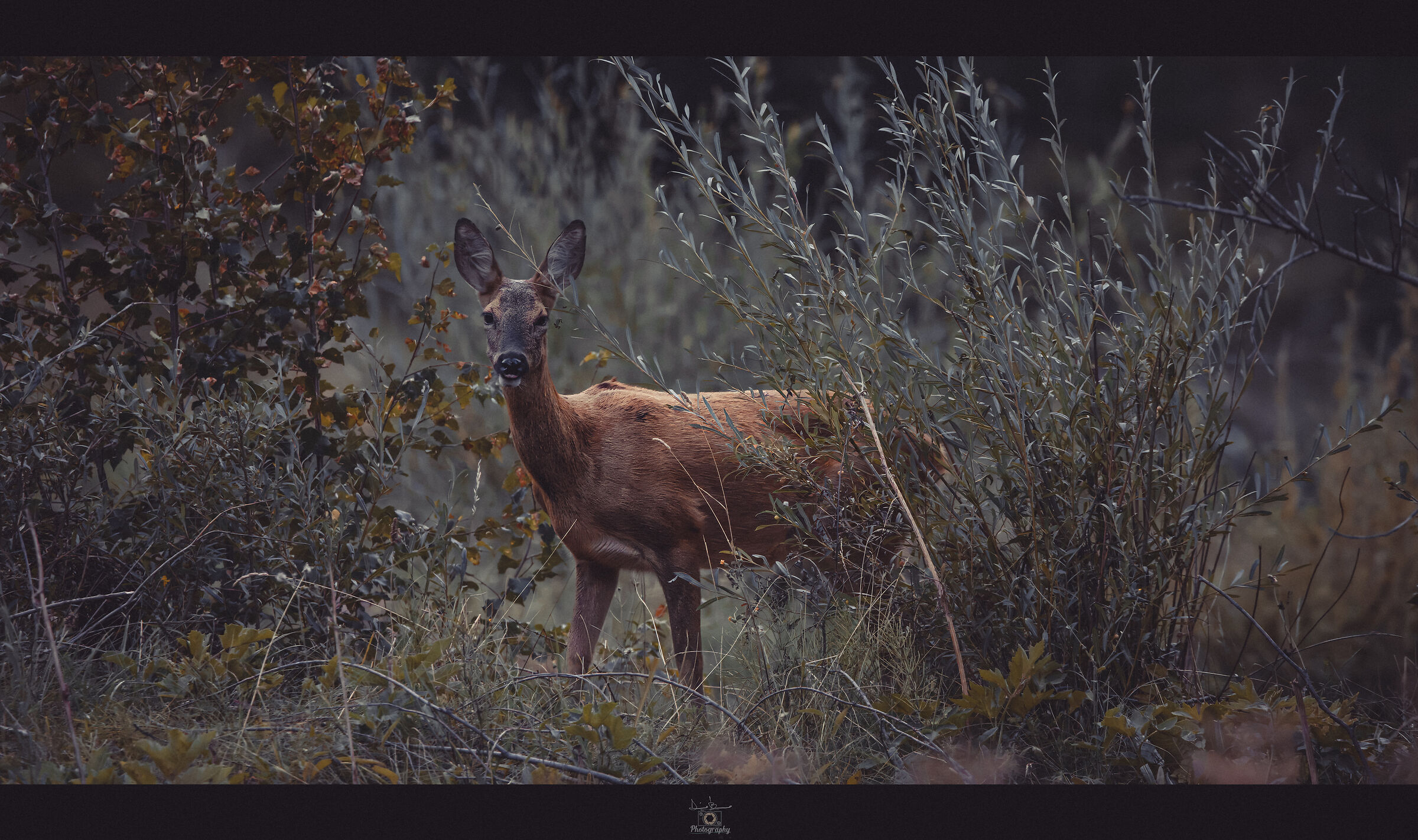 In harmony with nature