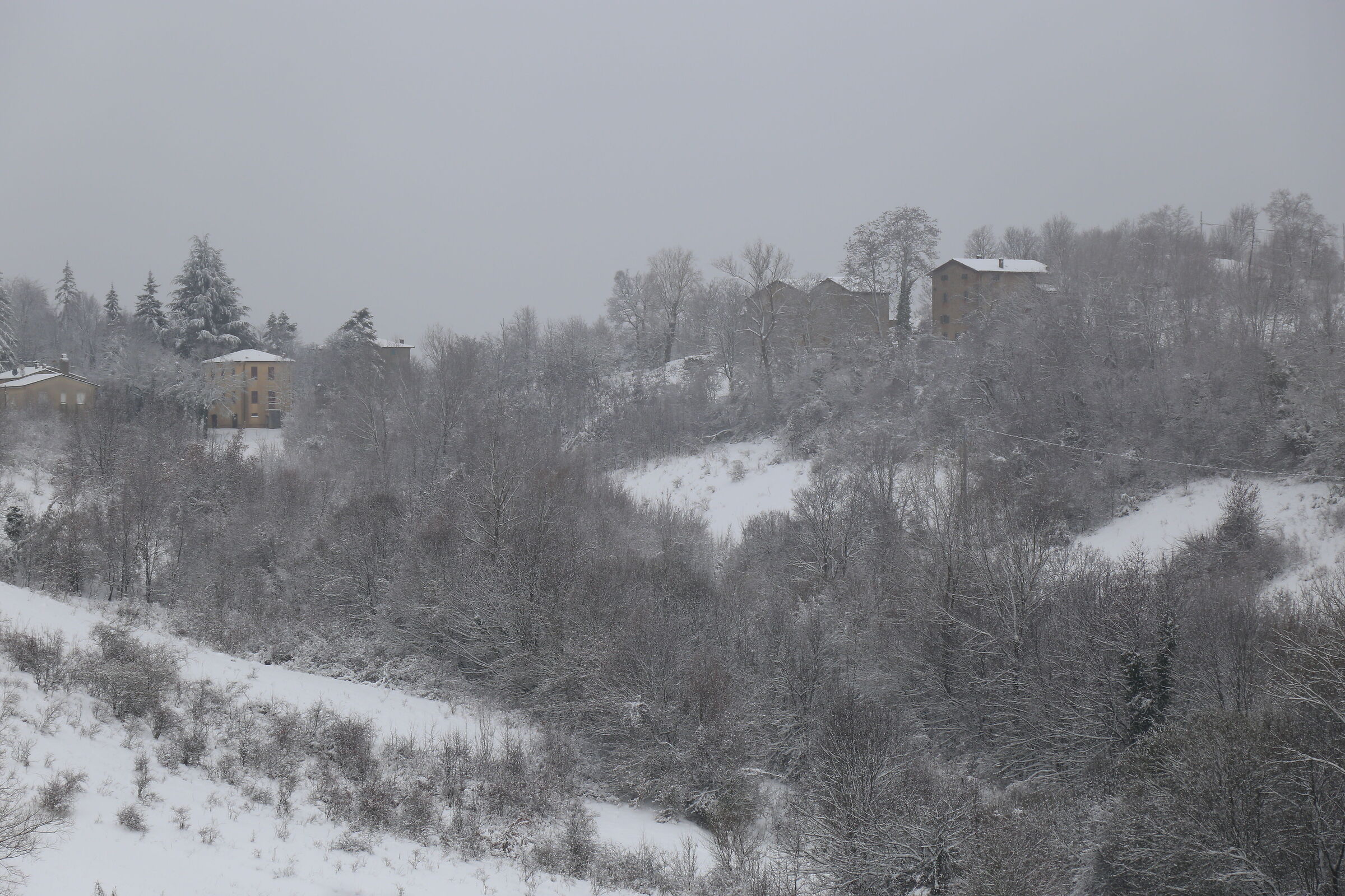 paesaggio morandiano