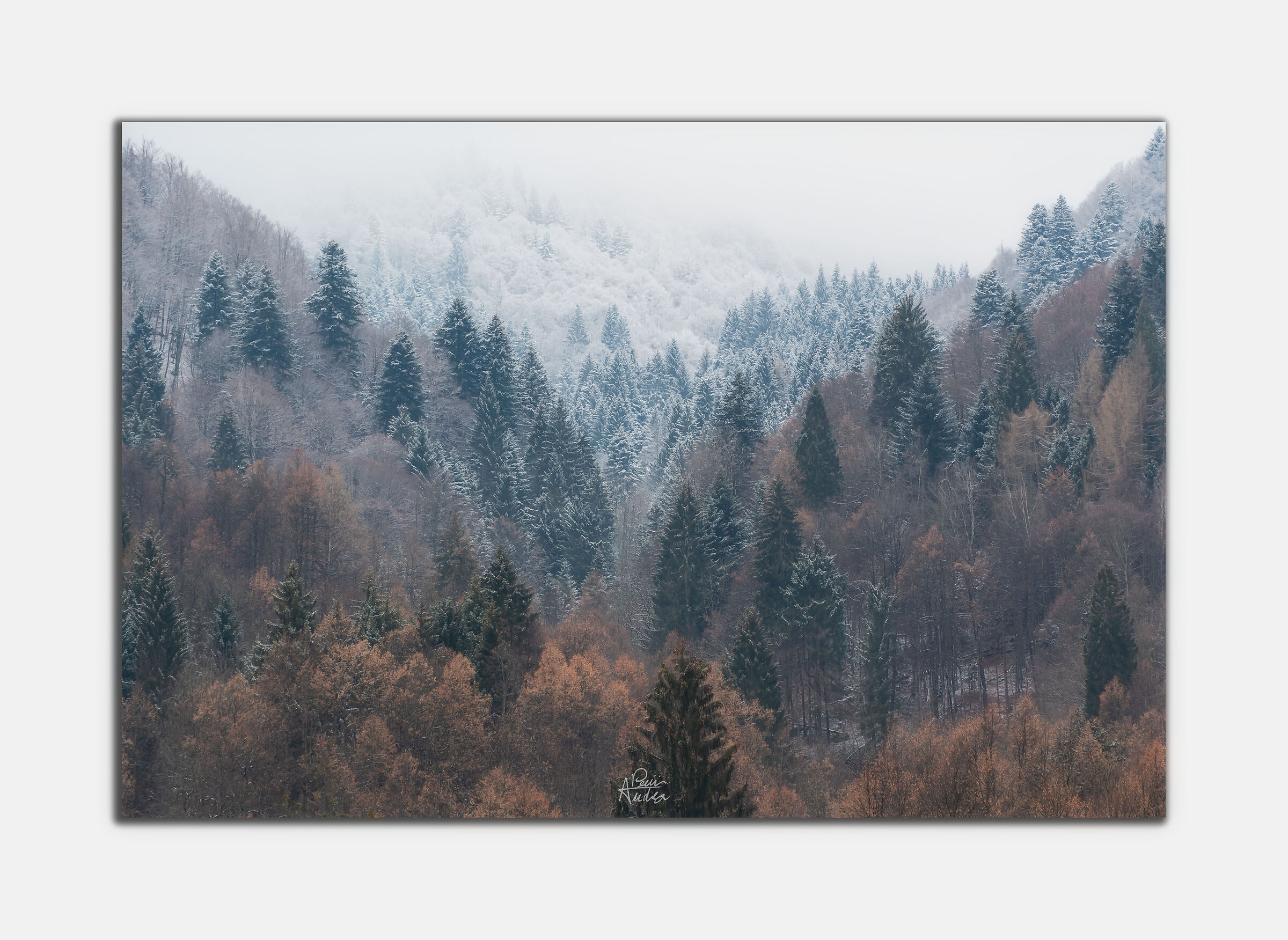 Shades of snow