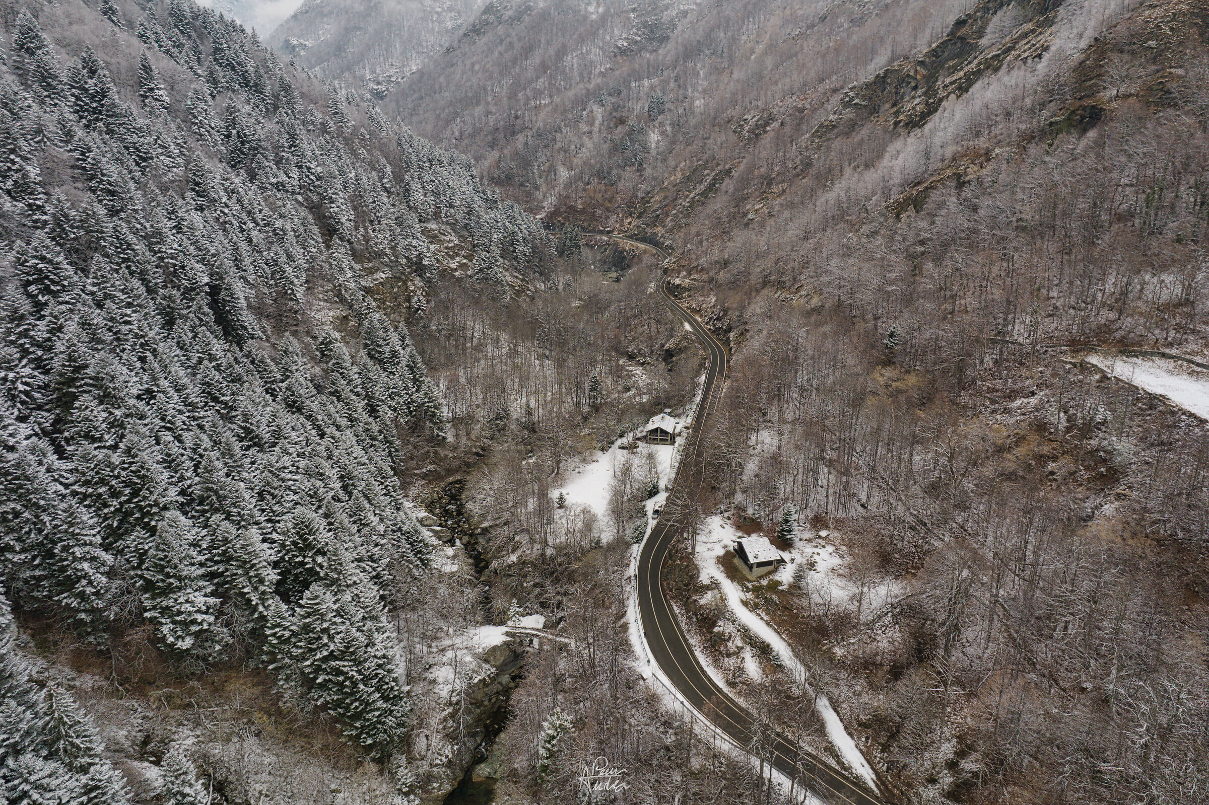 Svolazzando dopo la nevicata - 2