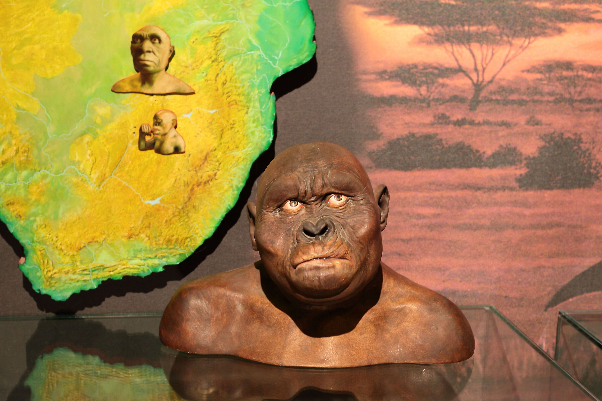 Museum of Prehistory S.Lazzaro di Savena