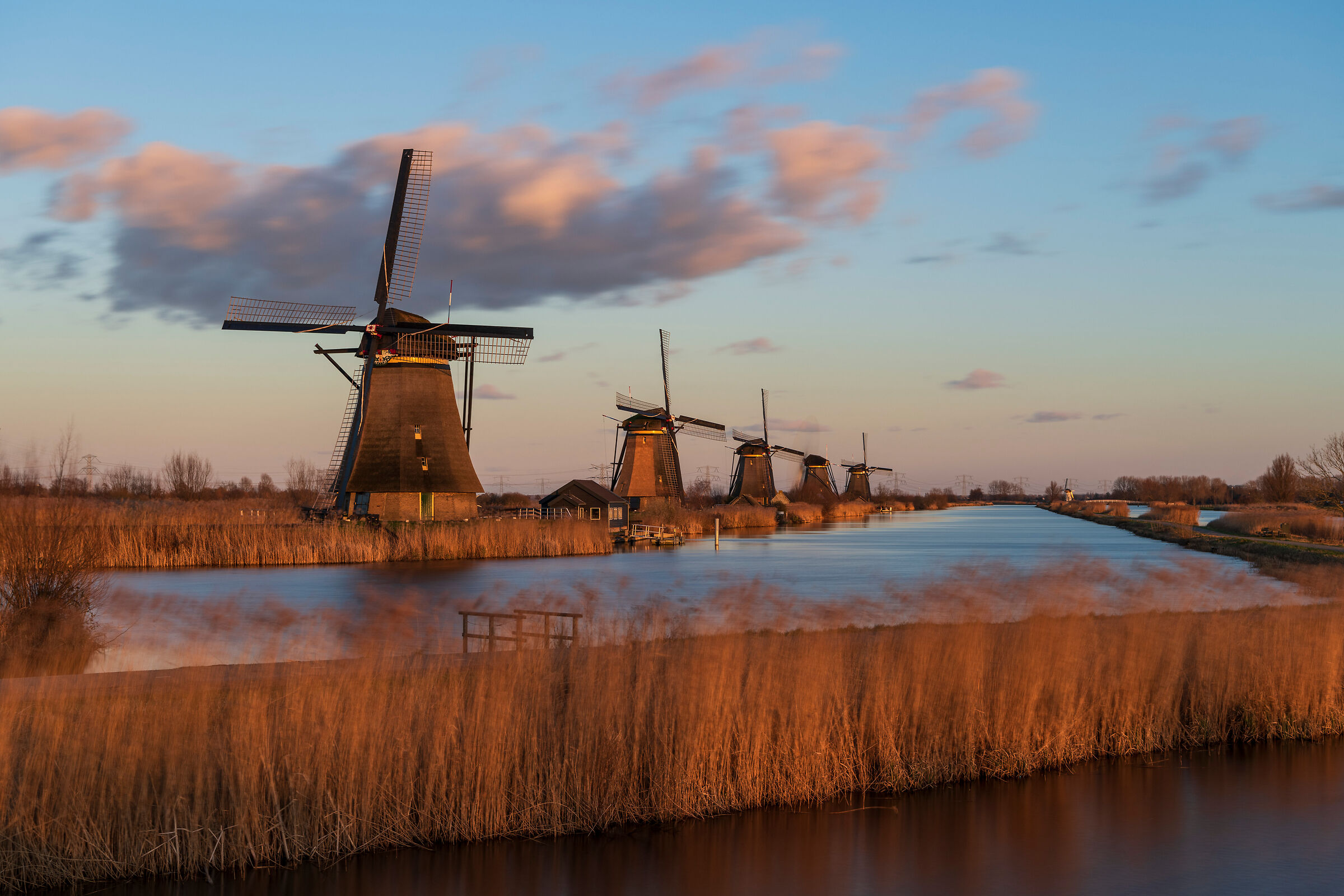 Kinderdijk Gold