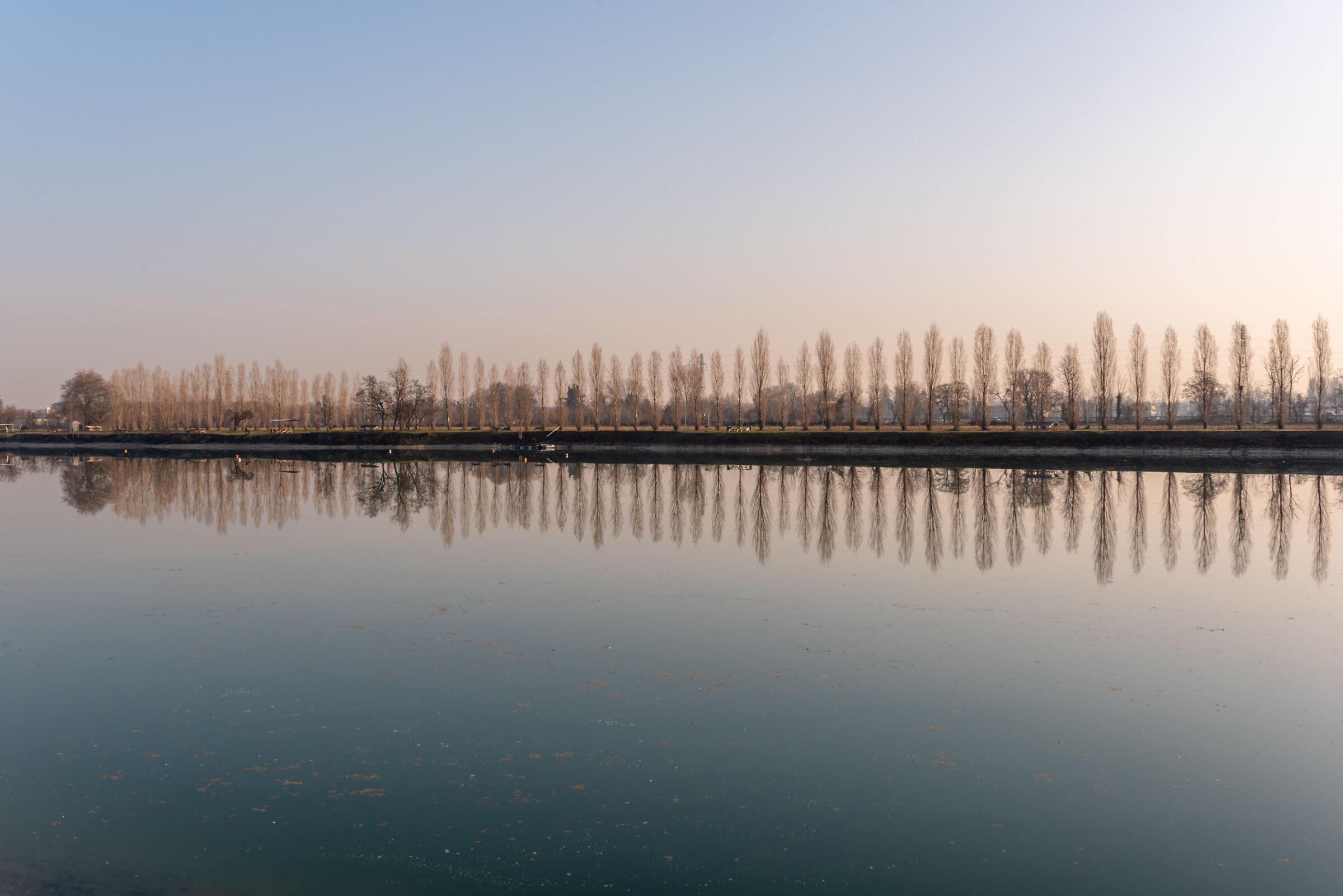 Oasi lago dei Cigni (Muggiano-MI)