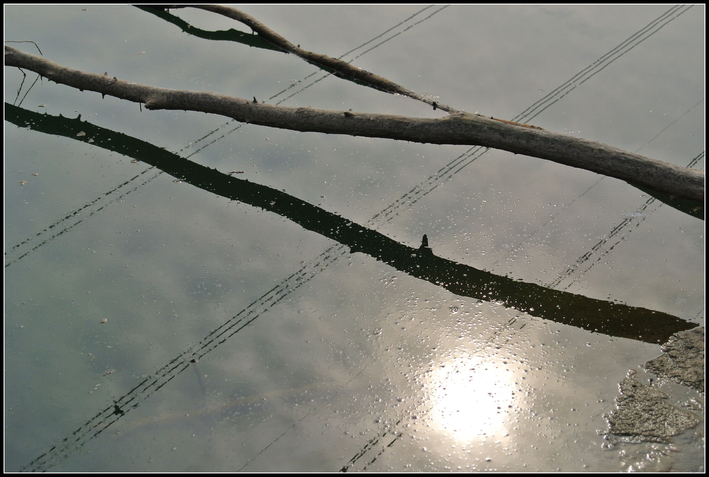 reflections on the water
