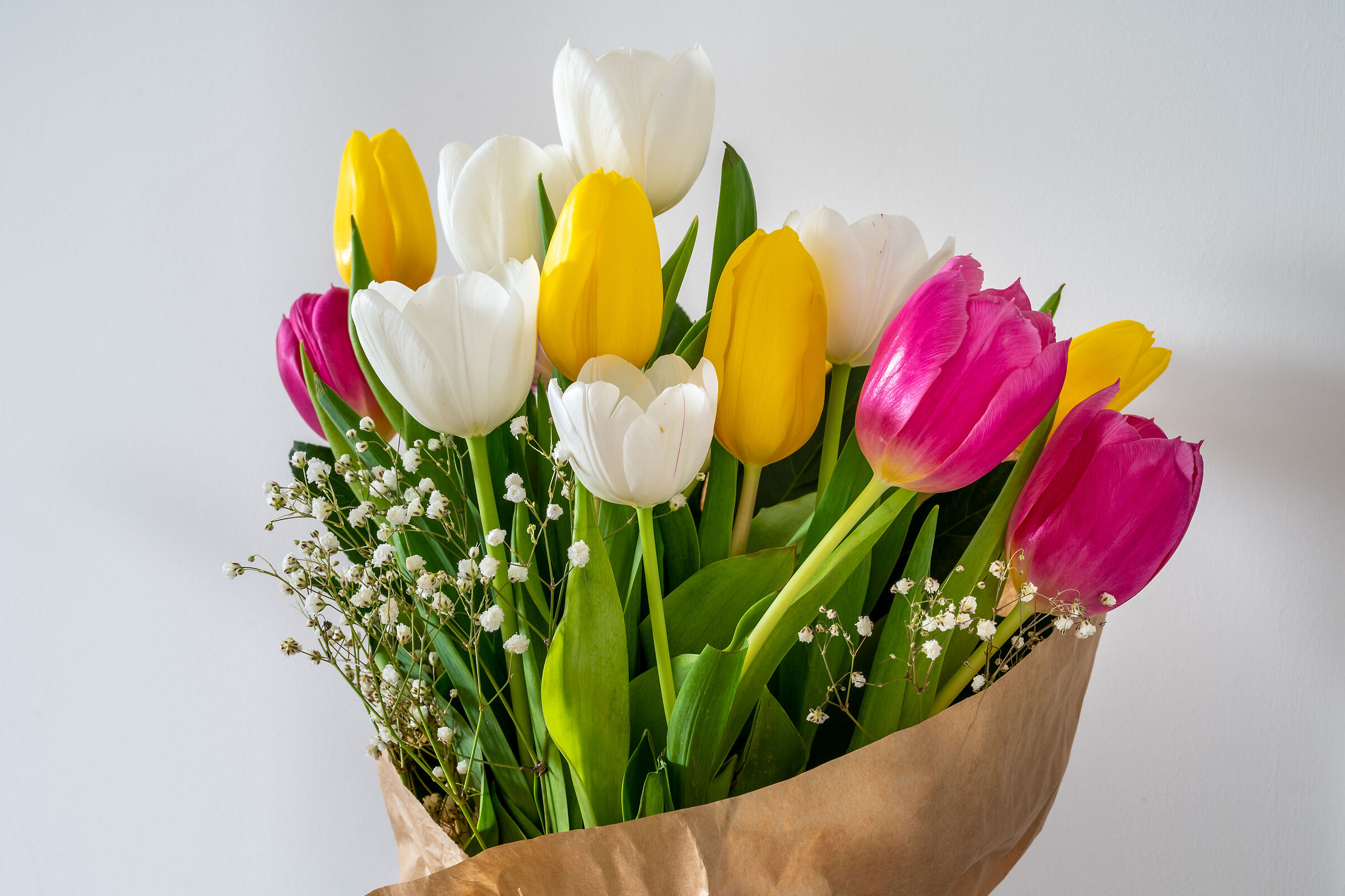 Kaleidoscope of colors