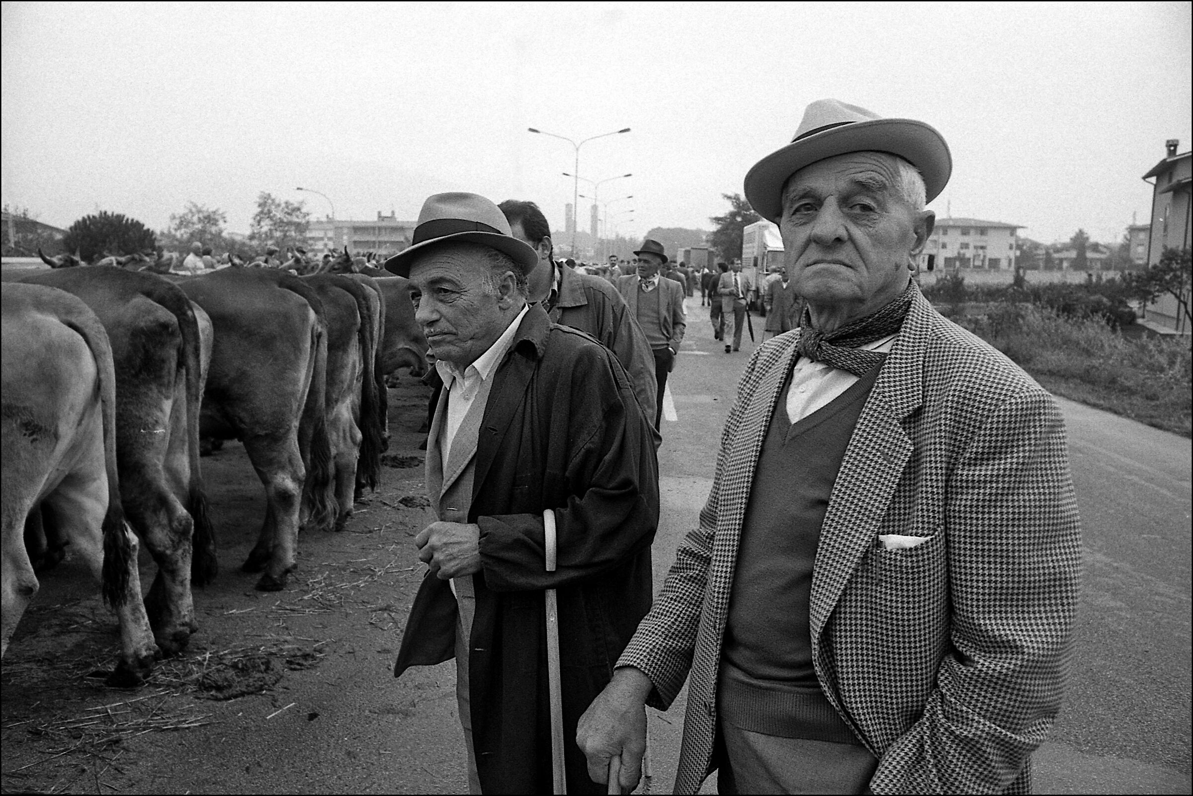 1988 Bassano d.G. "fiera franca"