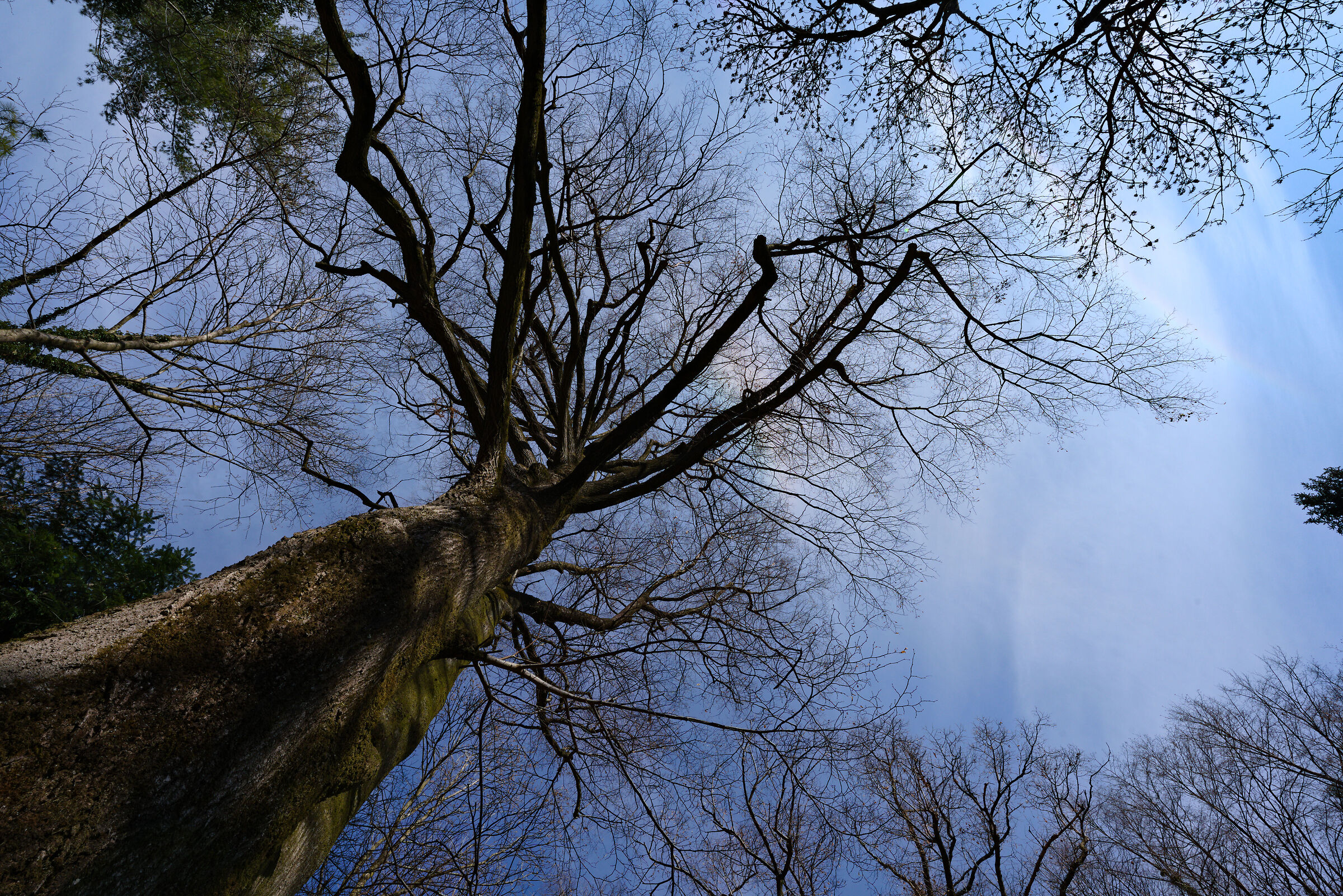 From below up