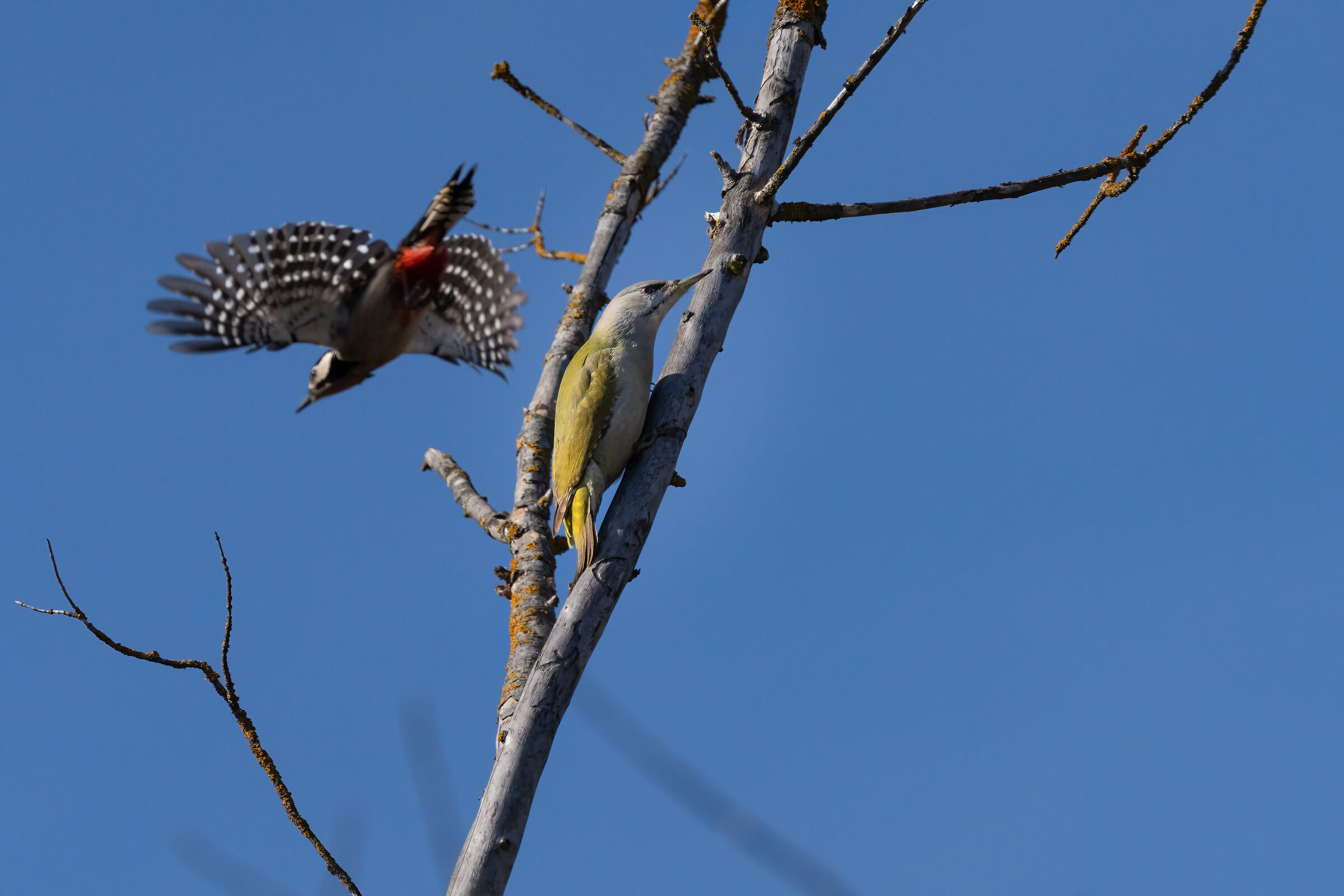 Du Gust Is Megl Che Uan