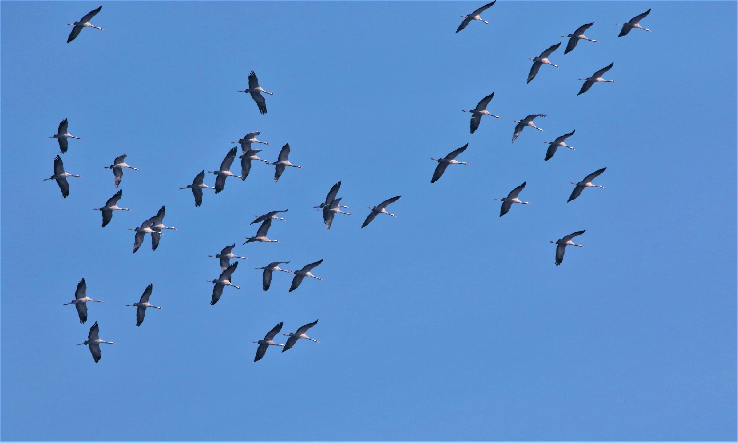 passage of GRU to Lndriano!