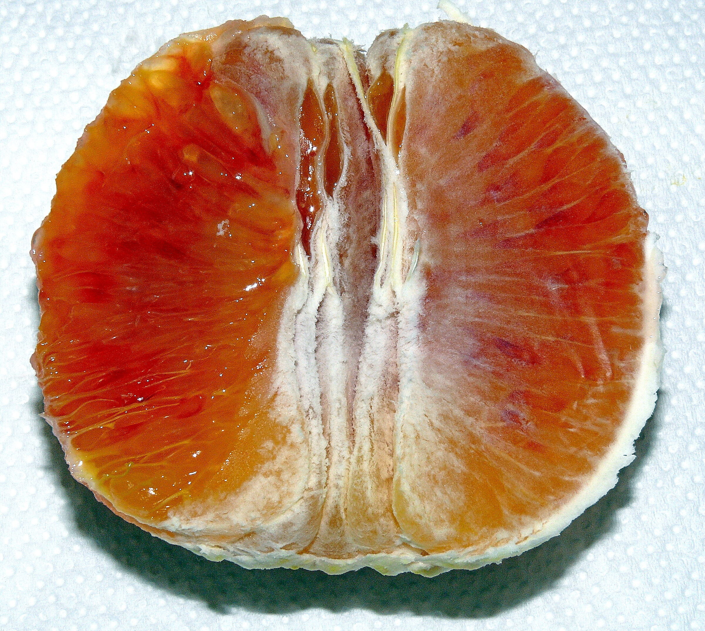 AranciaItalyB