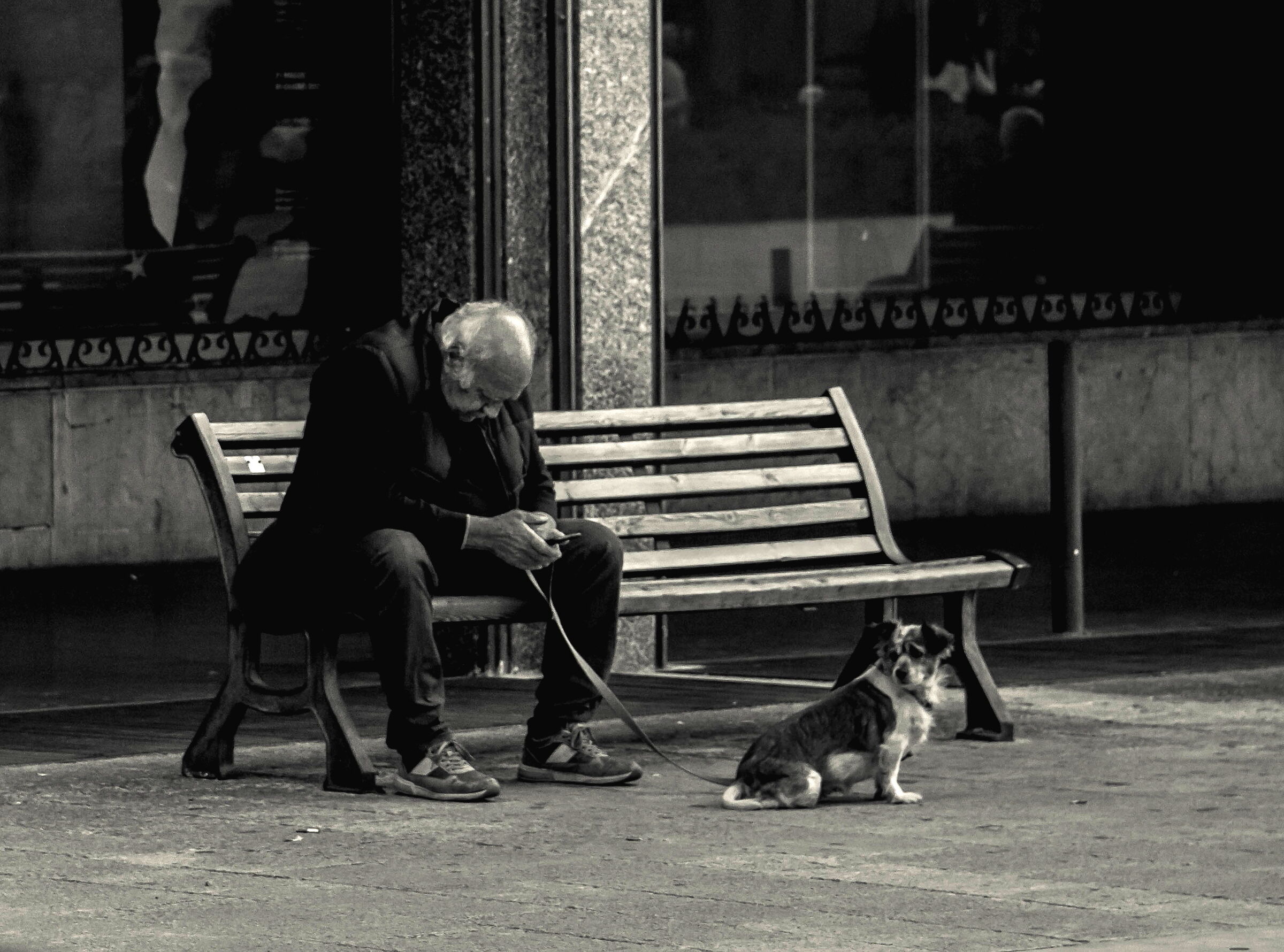 Un piccolo amico fedele