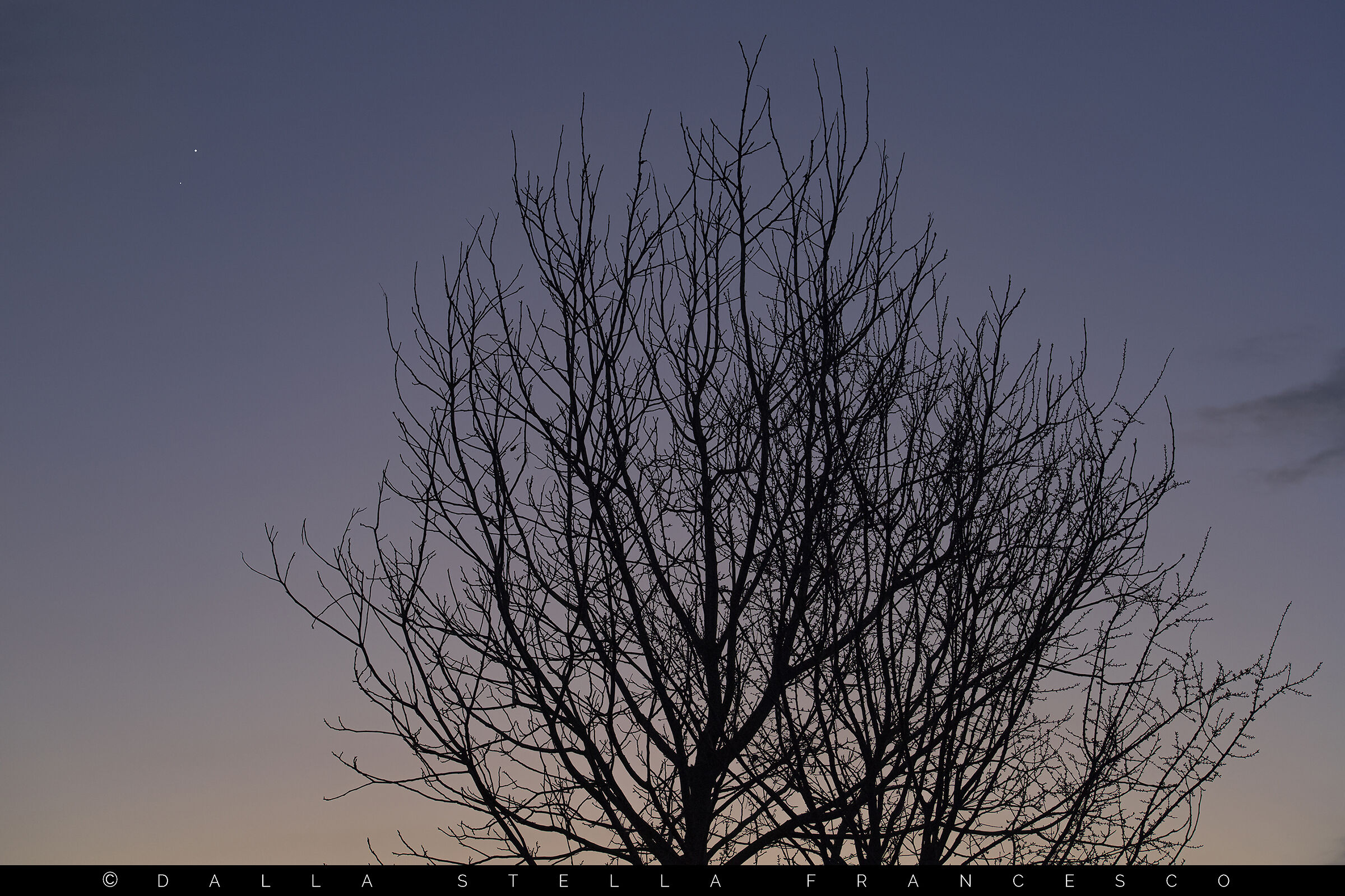 Venus Jupiter conjunction