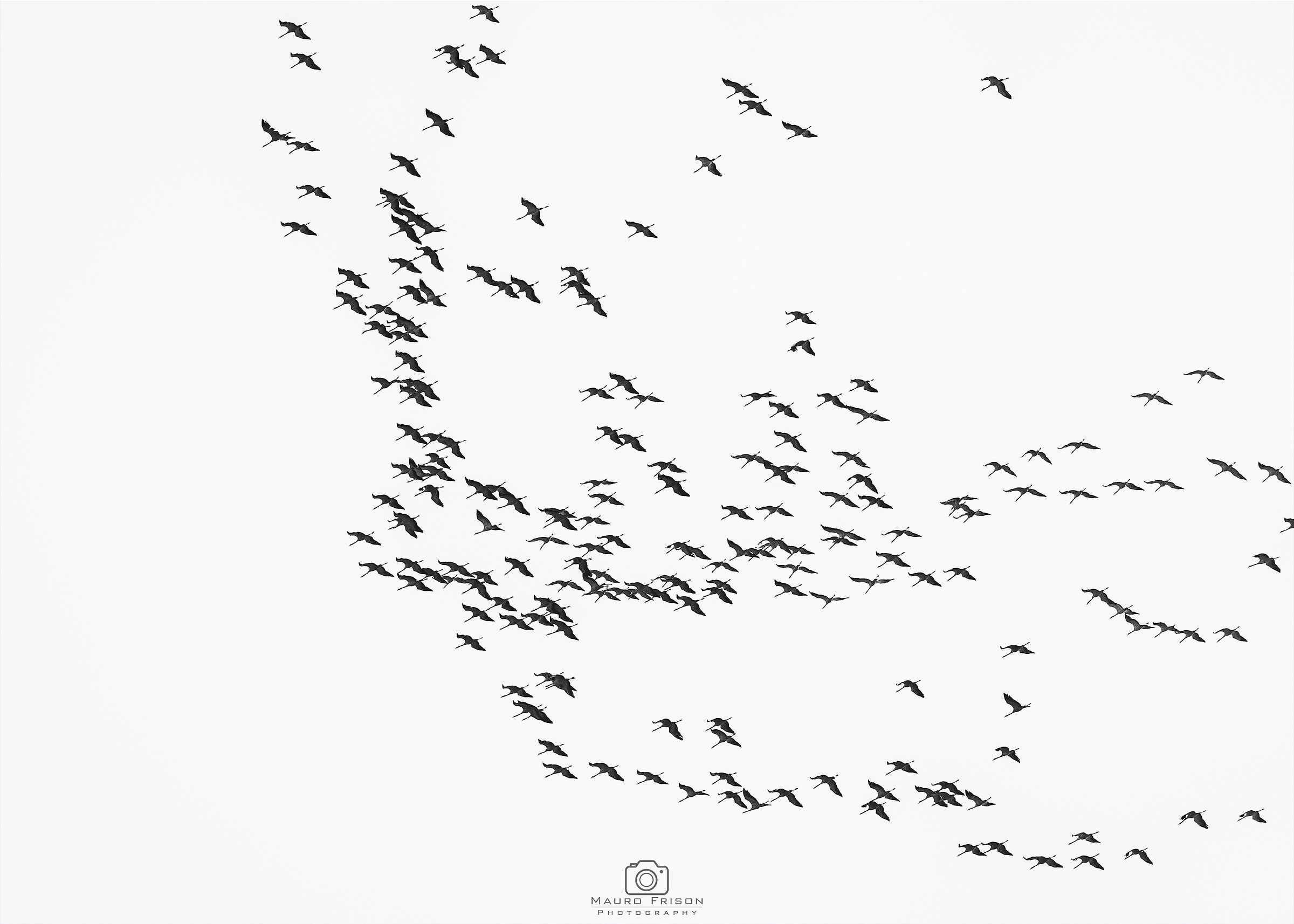 The return (2)