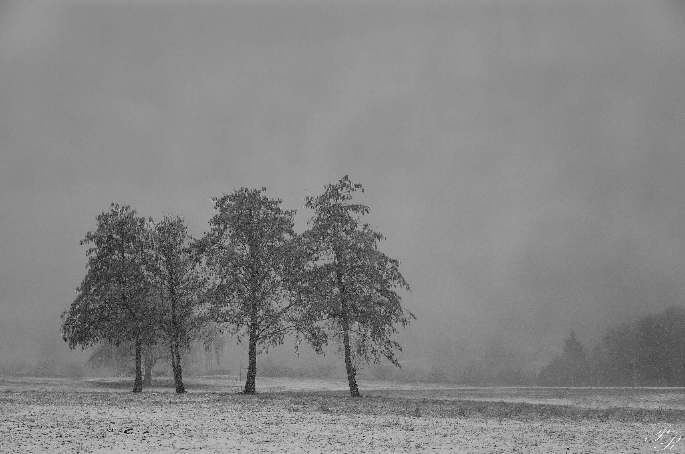 When it starts snowing