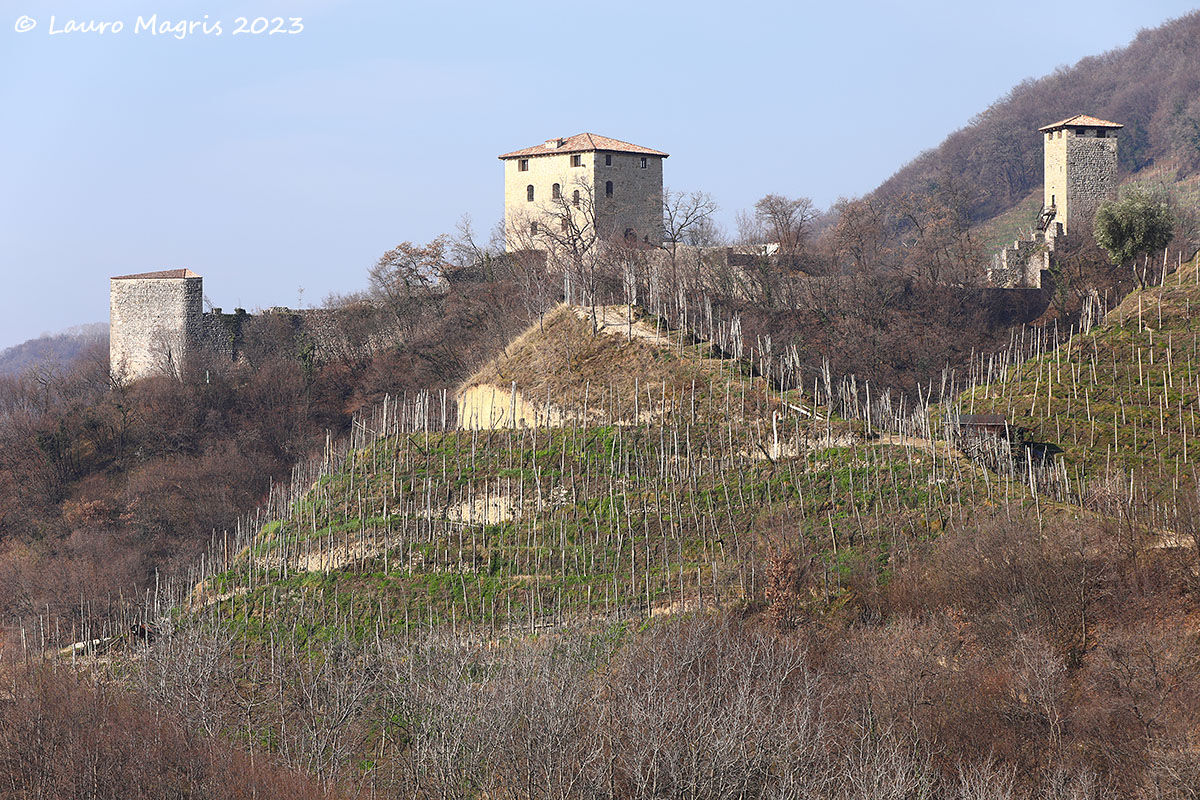 Dal medioevo ad oggi