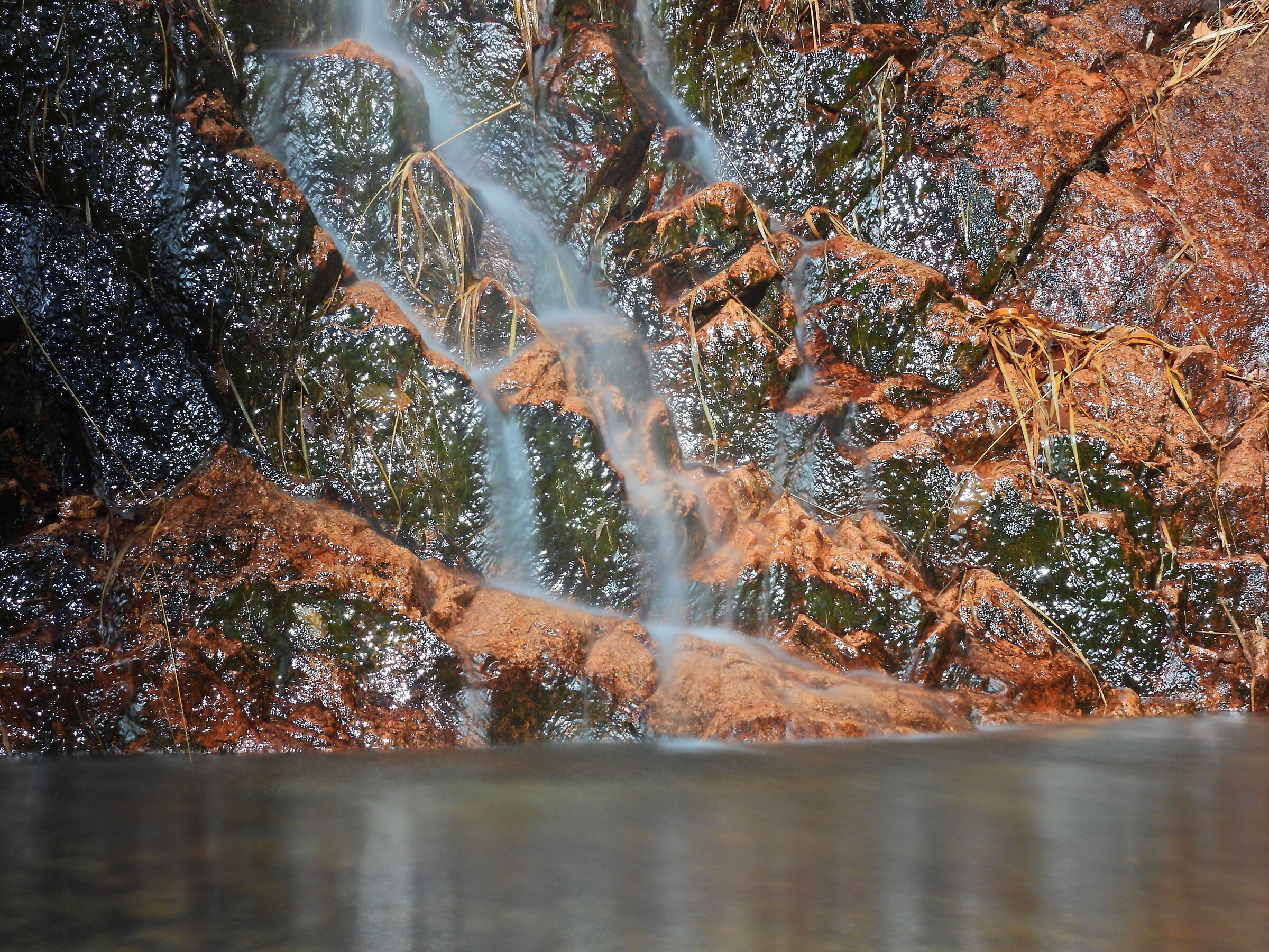 Porphyry and moss in Val Castellera