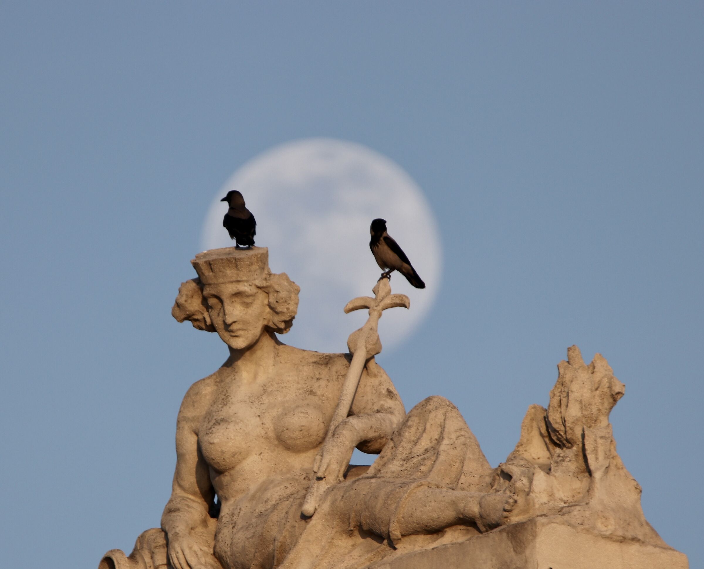 ... concert at the moon ....